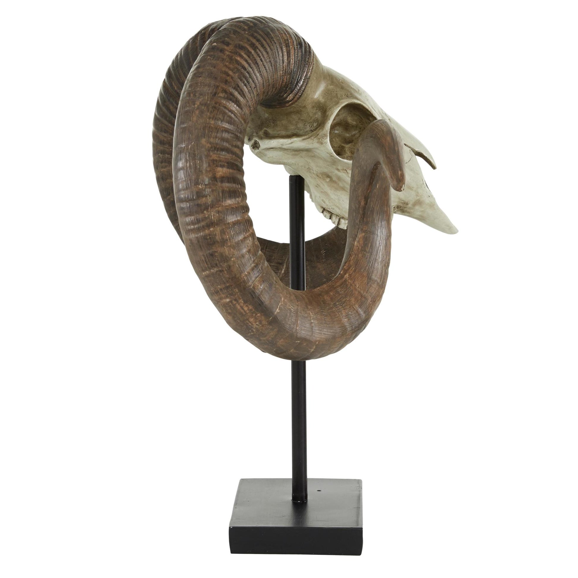Ram Brown Polystone Skull Decorative Sculpture