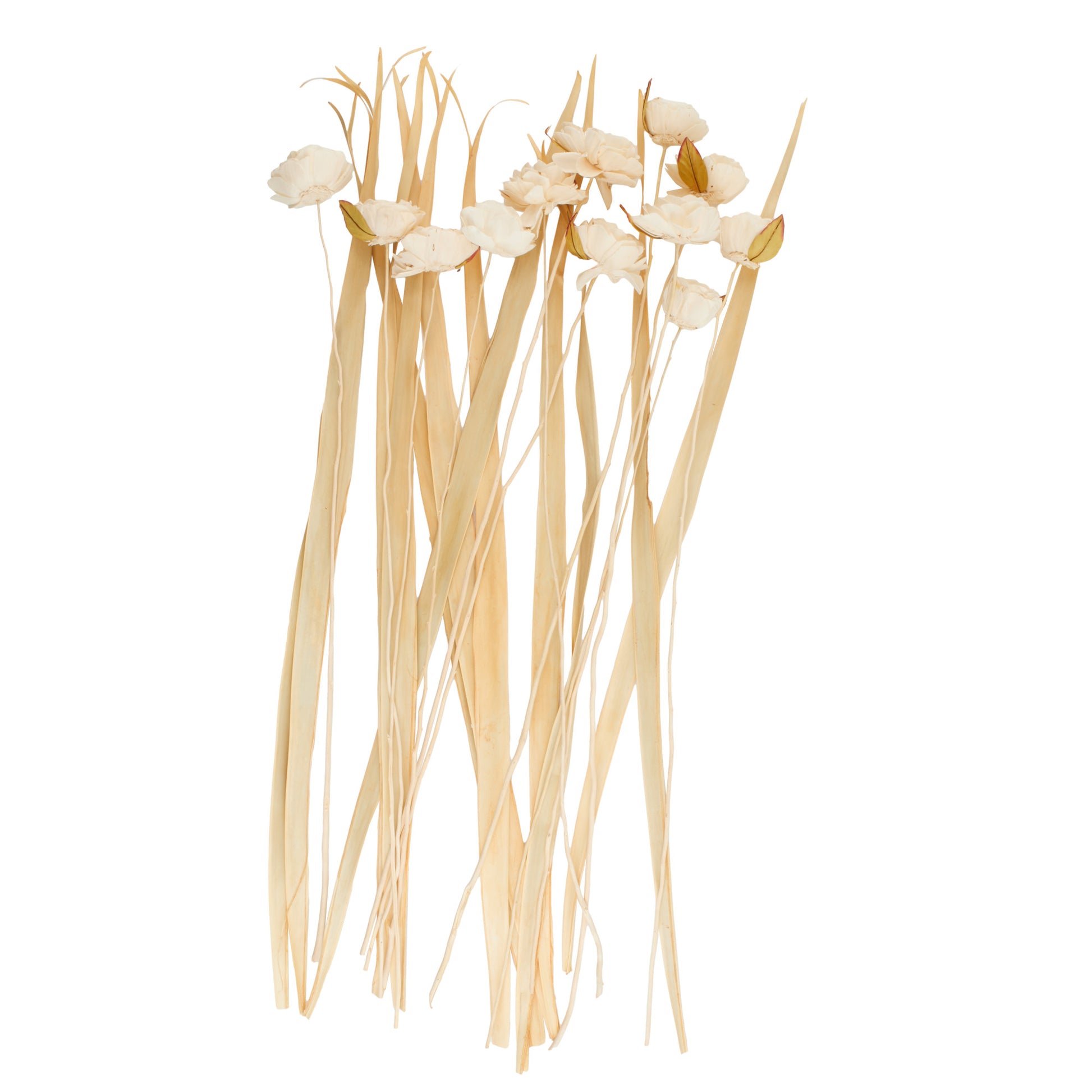 Cream Dried Plant Tall Home Decor Natural Foliage with Flower Petals and Leaves