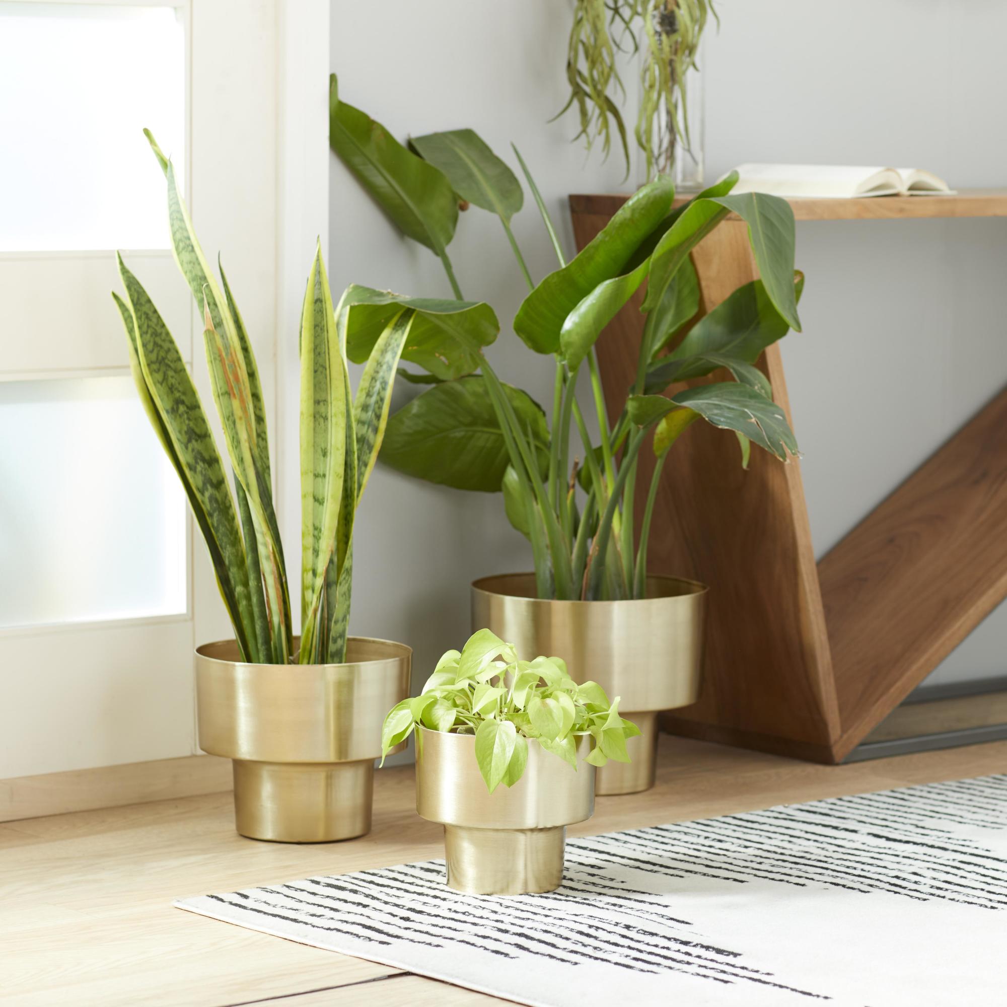 Set of 3 Gold Metal Brushed Indoor Outdoor Planter