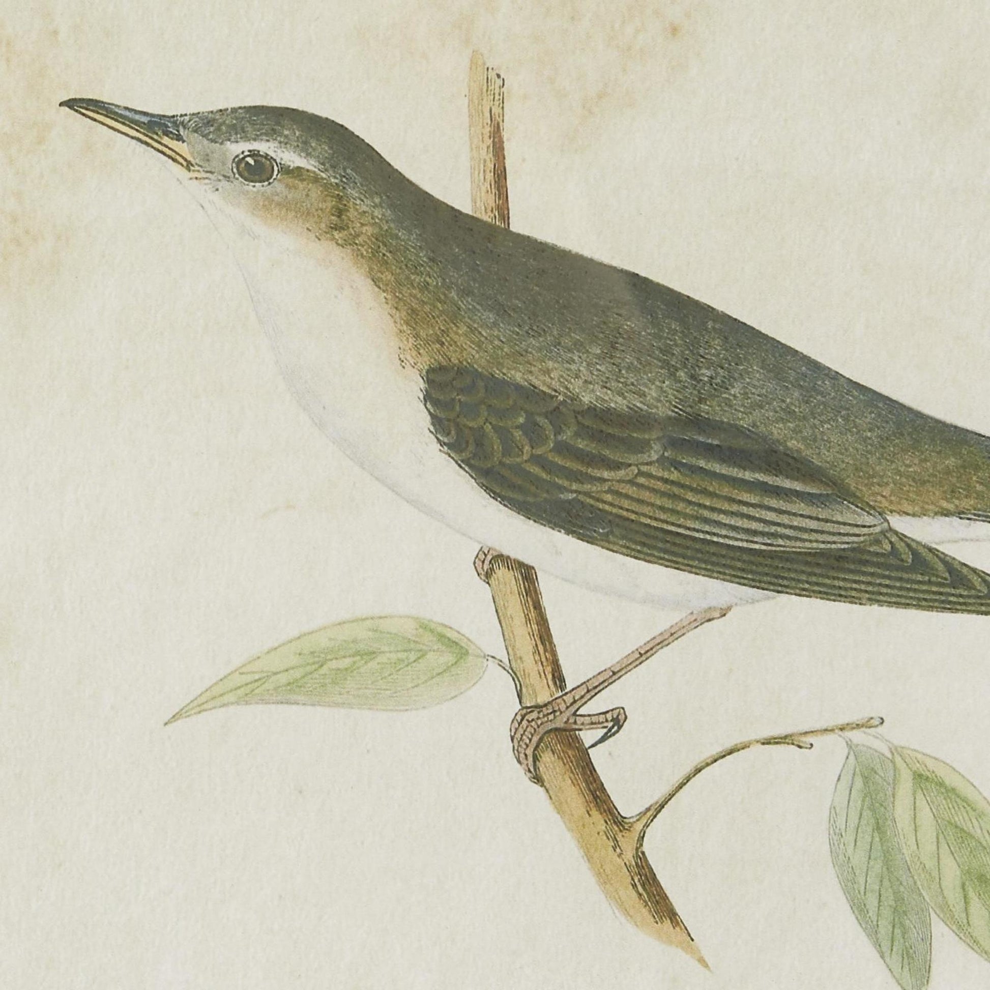 Set of 2 Bird Black Wood Living Room Framed Wall Art with Black Frame