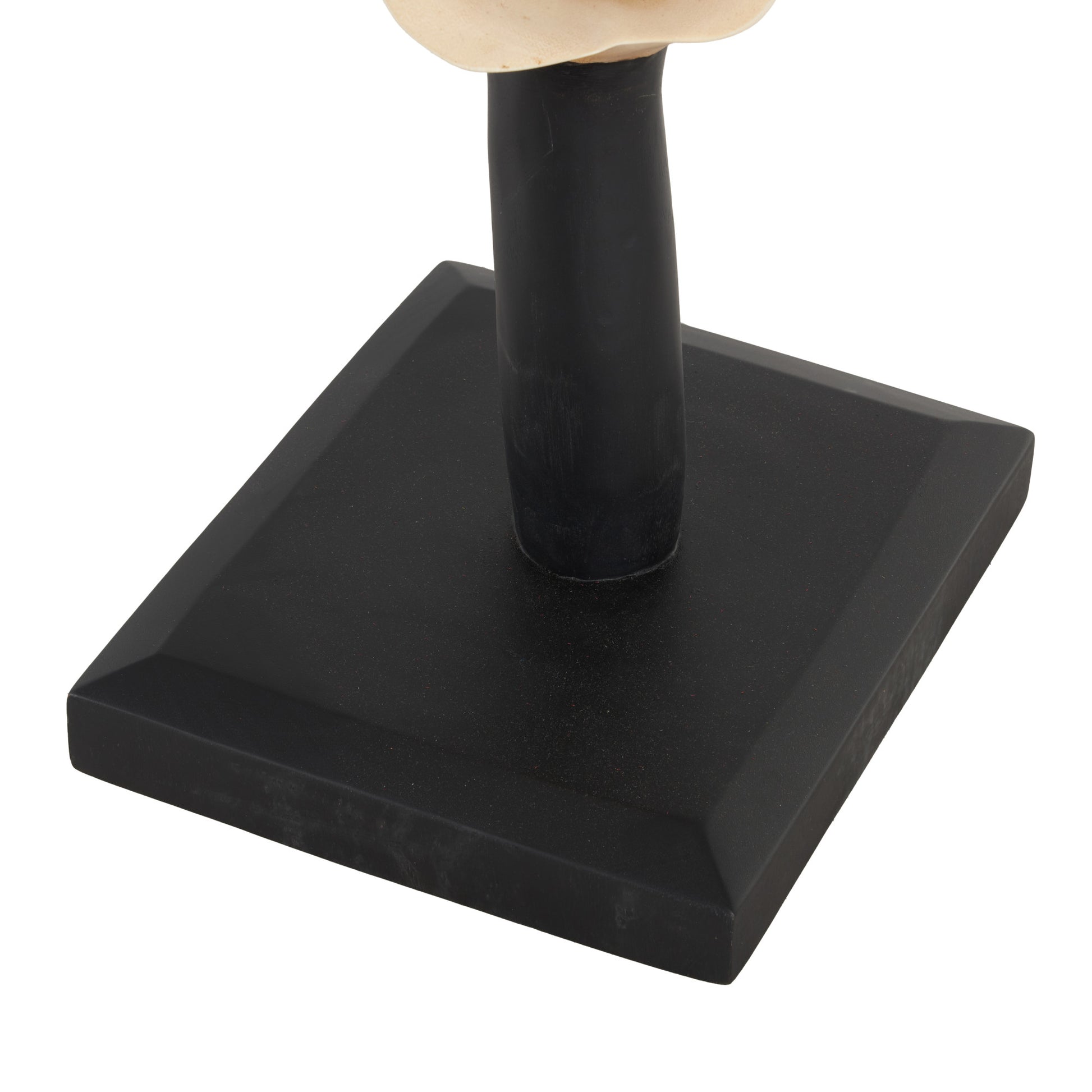 Abstract Cream Teak Wood Handmade Live Edge Intertwined Decorative Sculpture with Black Square Base