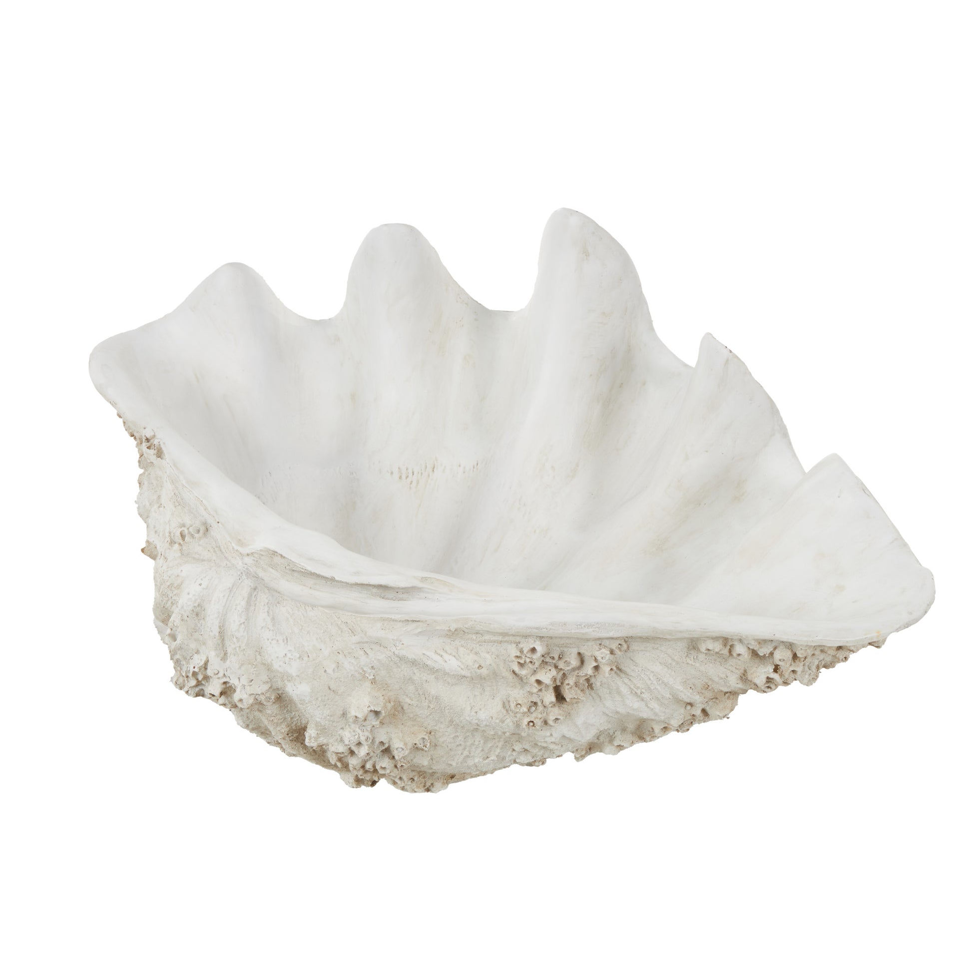 Shell White Polystone Large Textured Decorative Sculpture