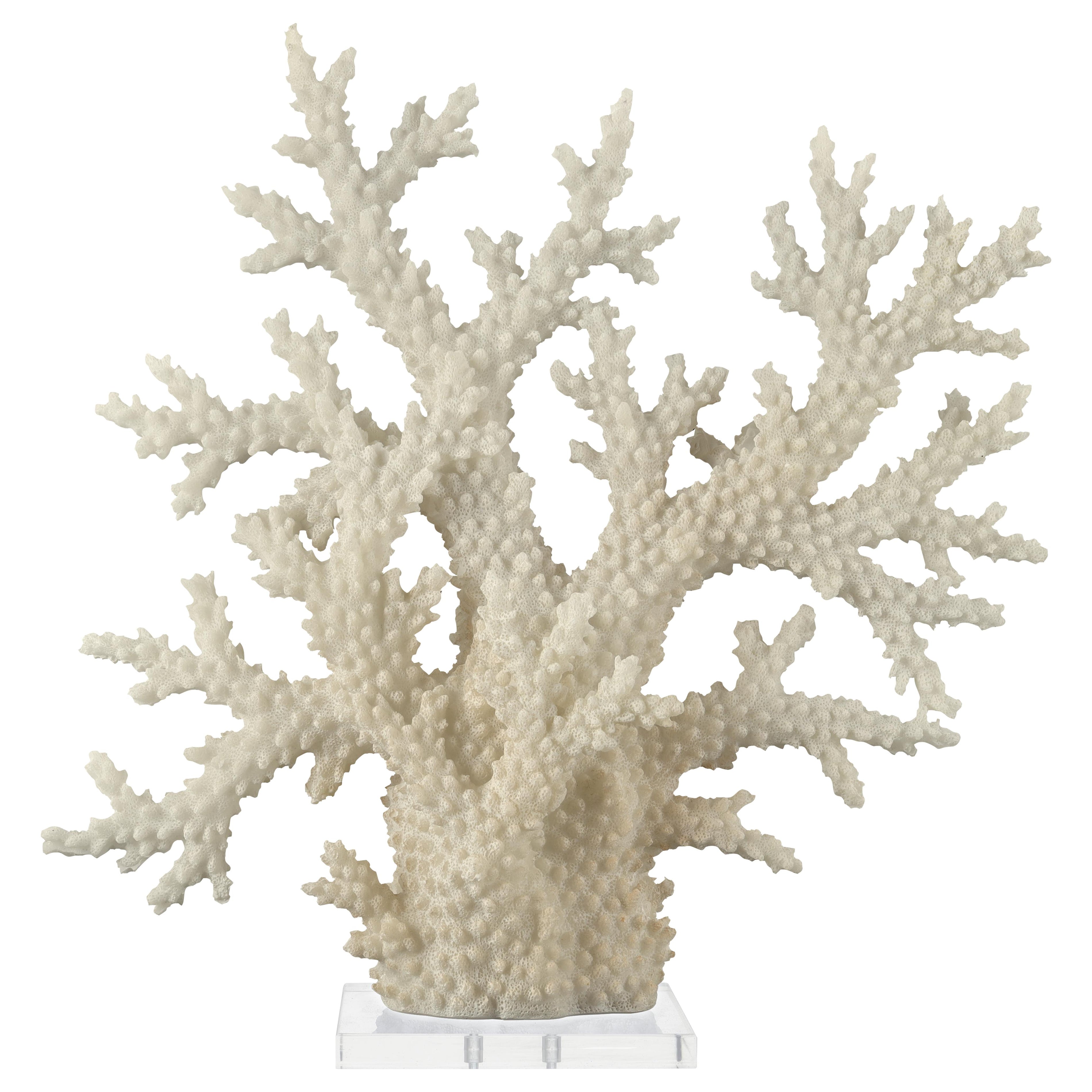 Coral Cream Polystone Decorative Sculpture with Clear Acrylic Base