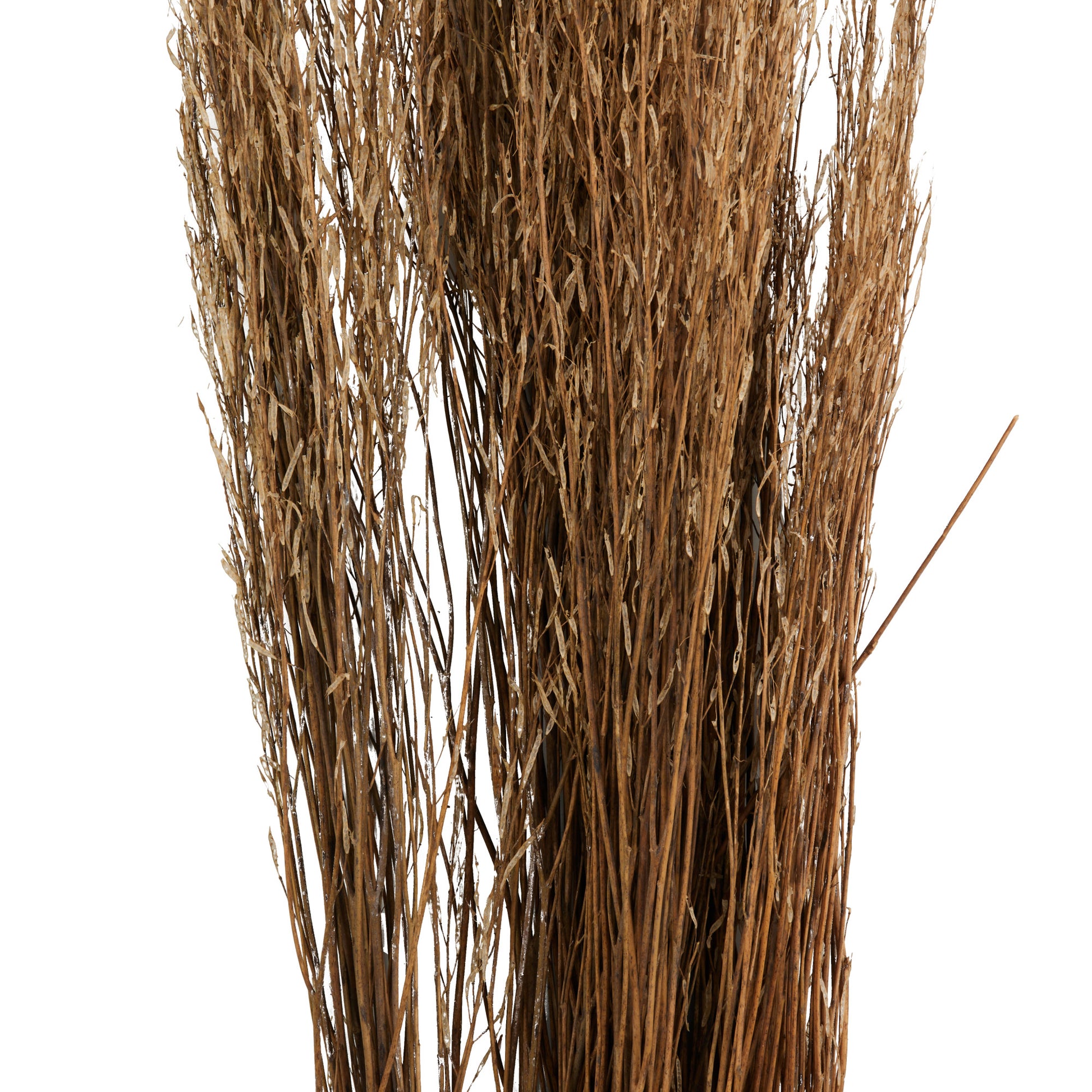 Dried Plant Tall Sticks Home Decor Natural Foliage with Grass 10" x 10" x 45"