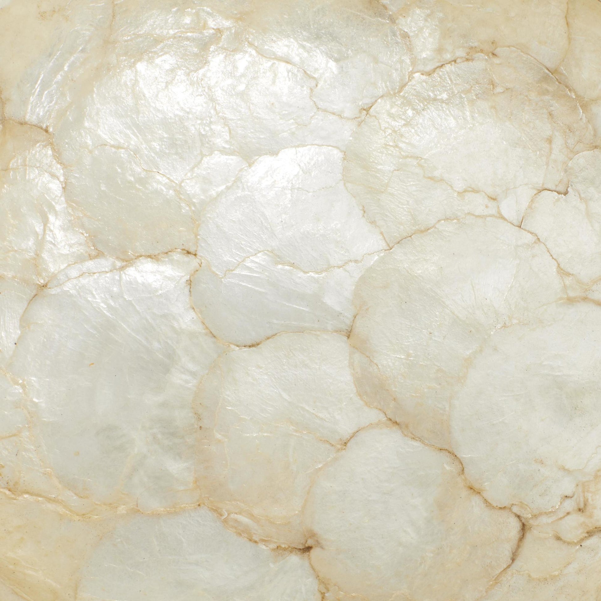 Nautical Brown Teak Wood Handmade Live Edge Free Form Large Decorative Bowl with Capiz Interior