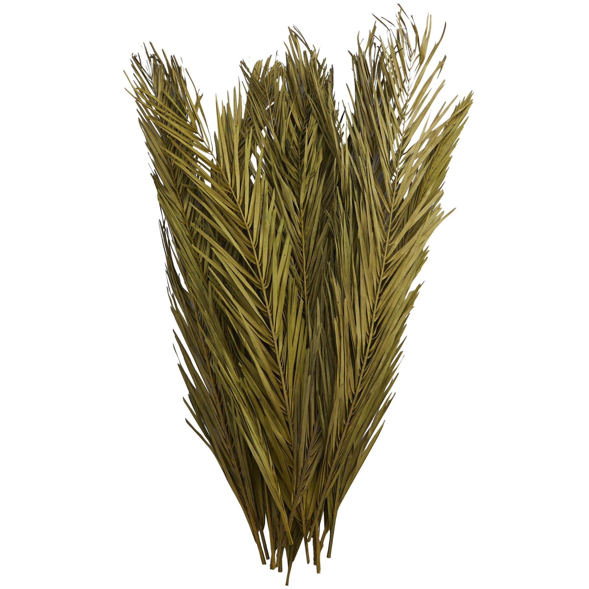 Palm Leaf Dried Plant Tall Home Decor Natural Foliage with Grass and Feather Inspired Stems