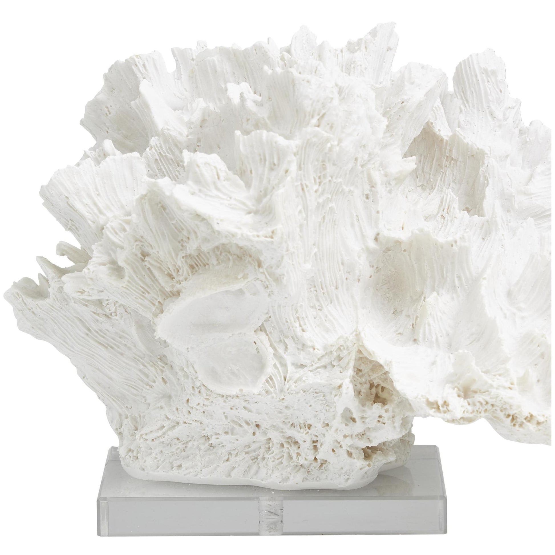 Coral White Polystone Textured Decorative Sculpture with Clear Acrylic Base