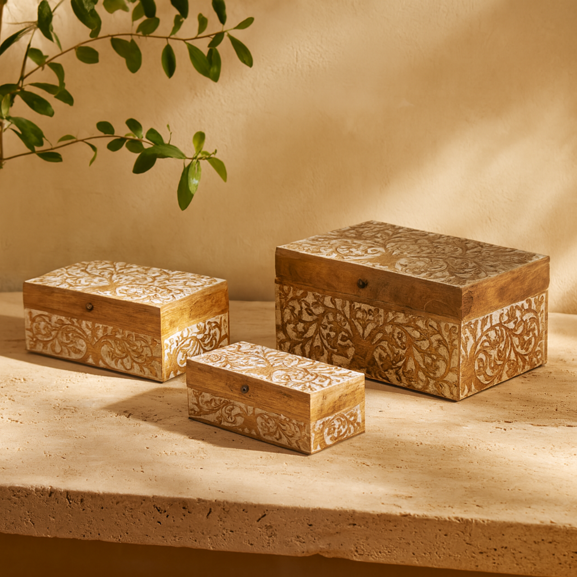 Set of 3 Tree Brown Mango Wood Carved Decorative Box with White Backing