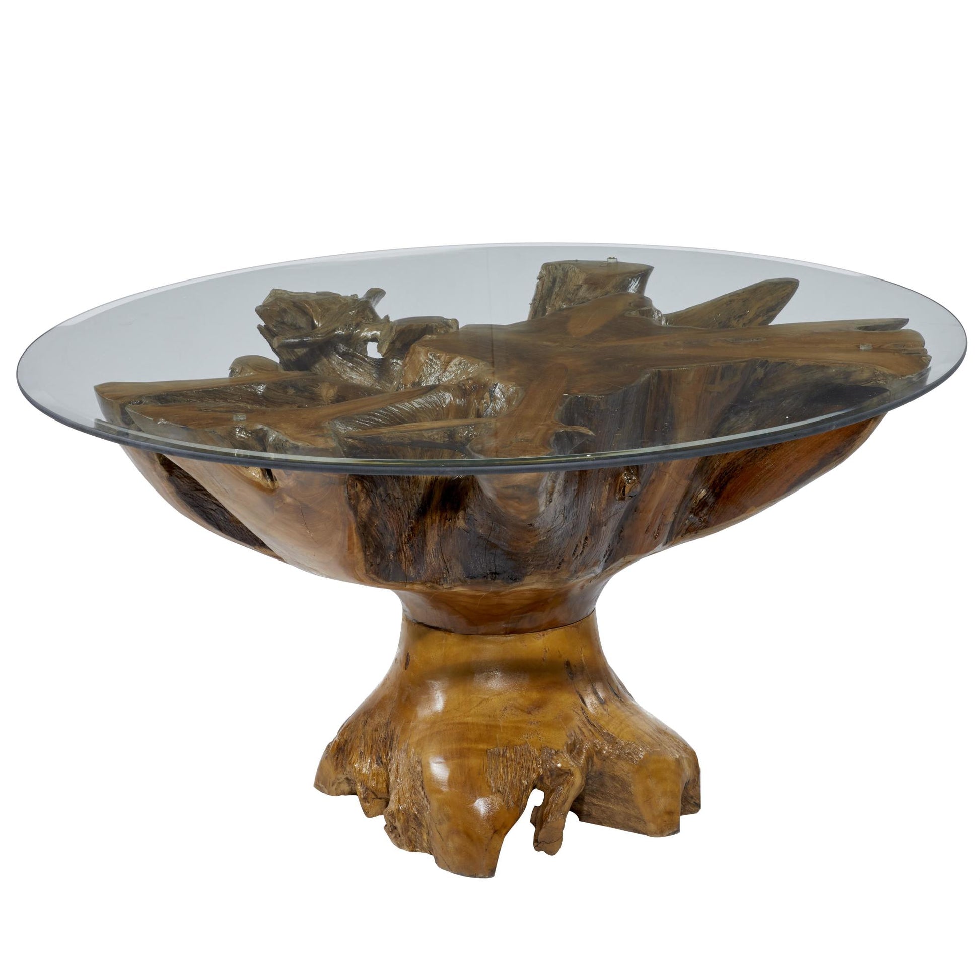 Brown Teak Wood Handmade Live Edge Tree Stump Living Room Coffee Table with Clear Glass Top