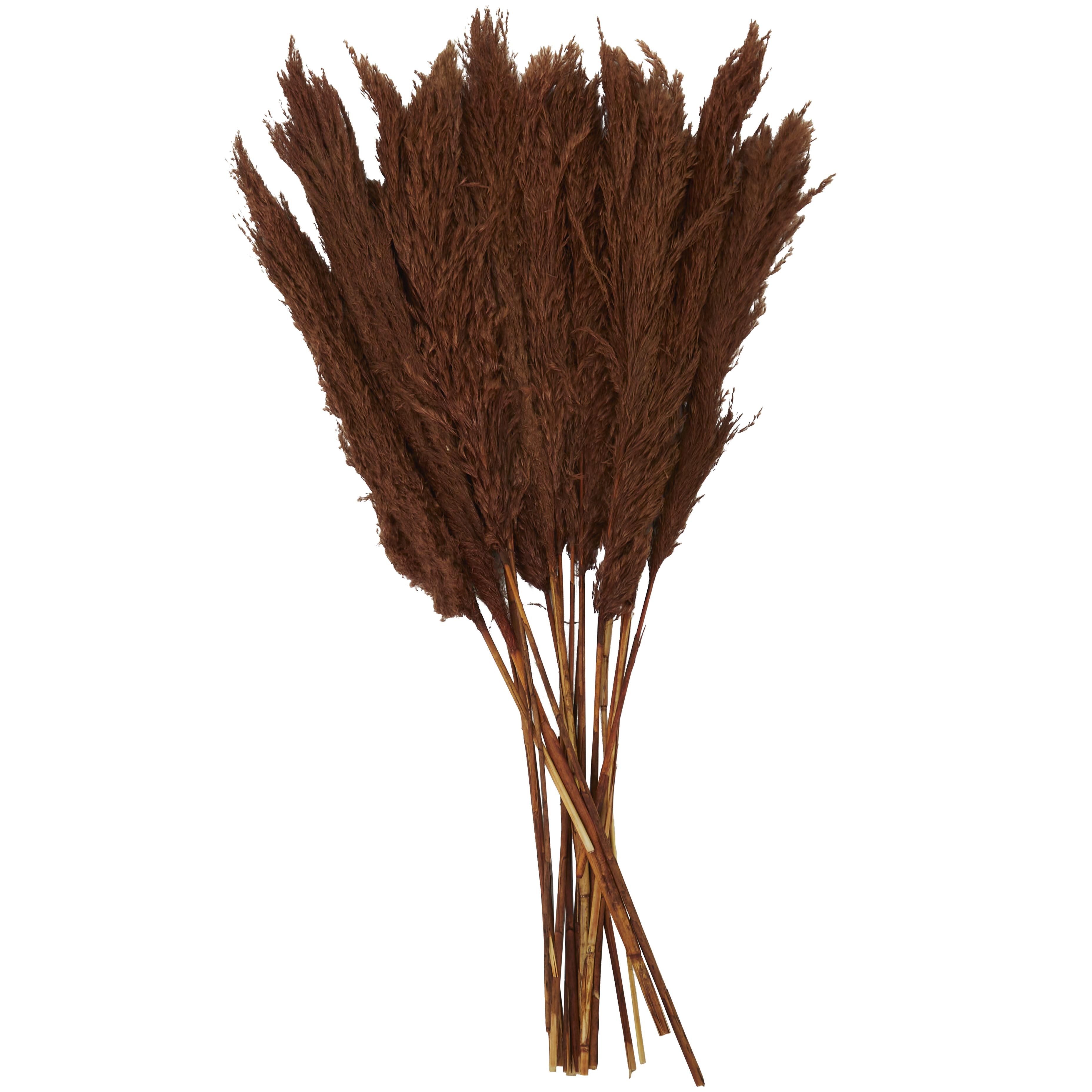 Pampas Dried Plant Grass Home Decor Natural Foliage with Long Stems