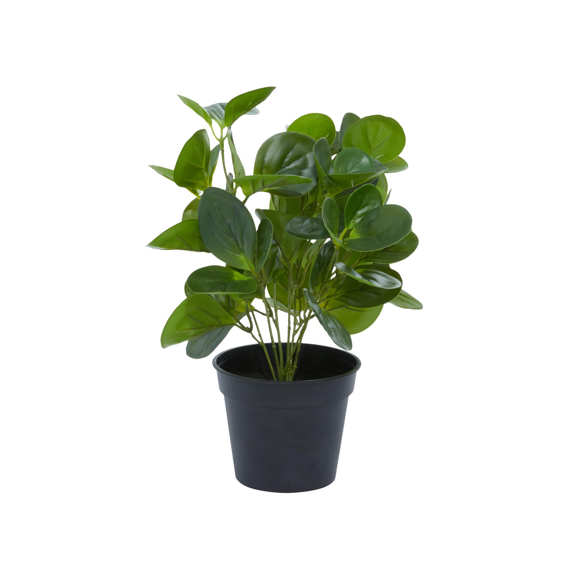 Eucalyptus Green Faux Foliage Indoor Outdoor Artificial Plant with Realistic Leaves and Black Round Pot