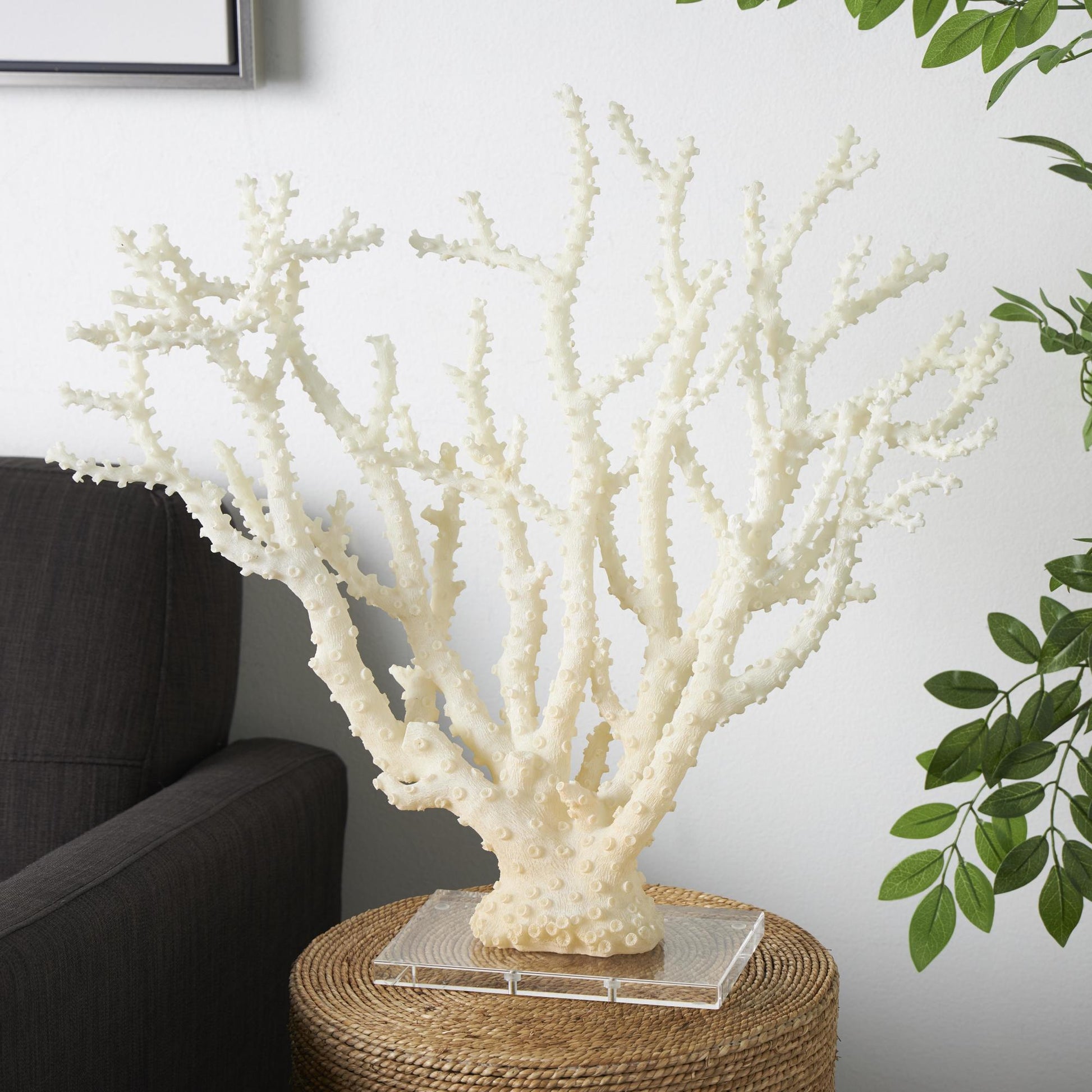 Coral Cream Polystone Decorative Sculpture with Clear Acrylic Base
