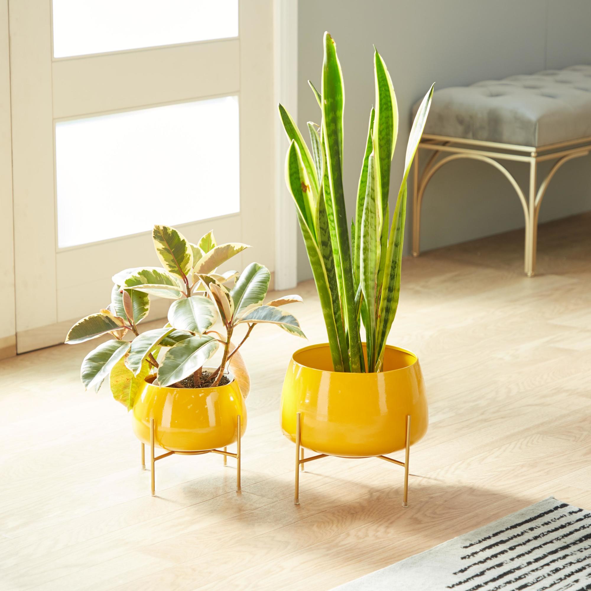 Set of 2 Metal Rounded Dome Indoor Outdoor Planter with Removable Stand
