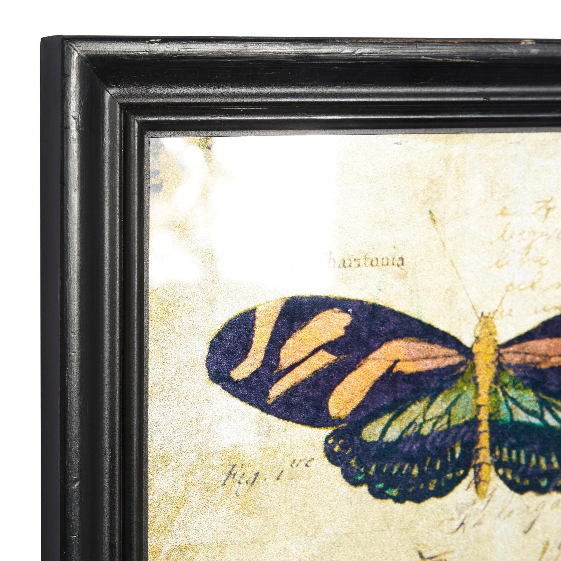 Set of 2 Butterfly Multi Colored Glass Living Room Framed Wall Art with Black Frame