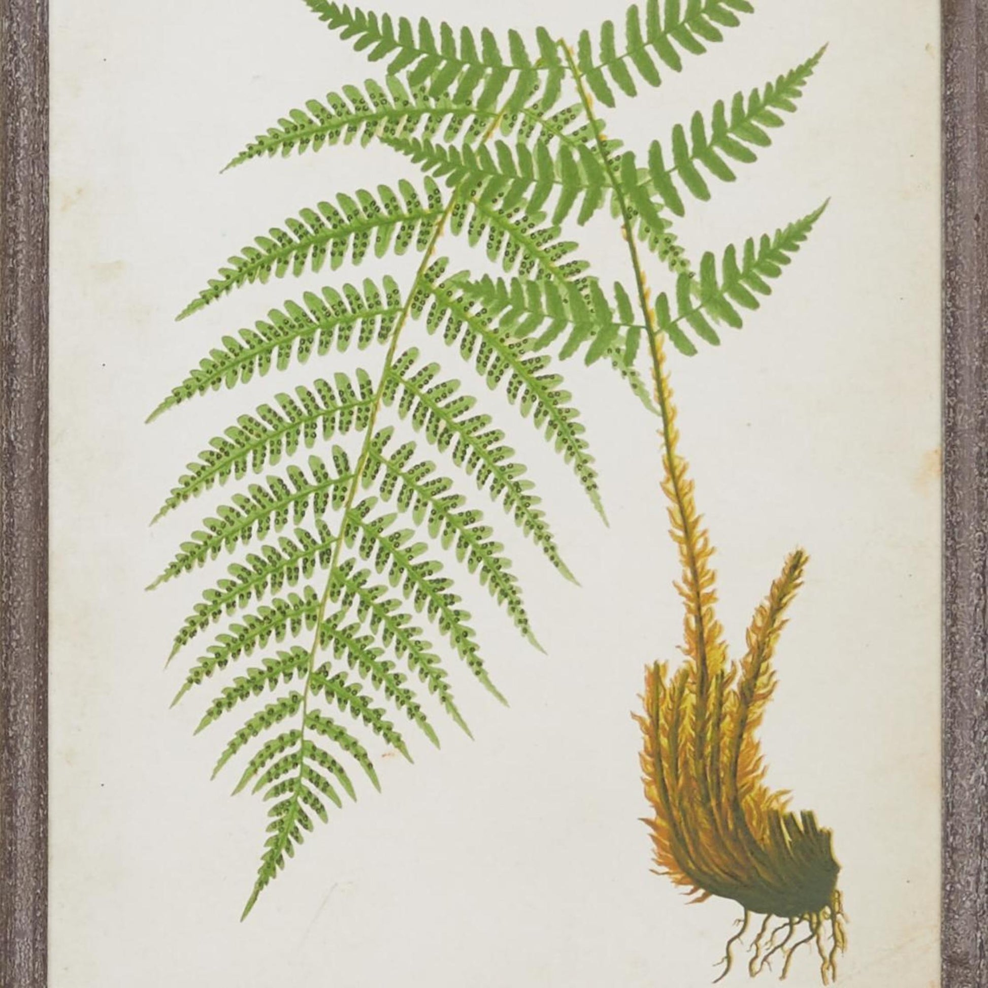 Leaf Brown Wood Living Room Framed Wall Art with Cream Backing