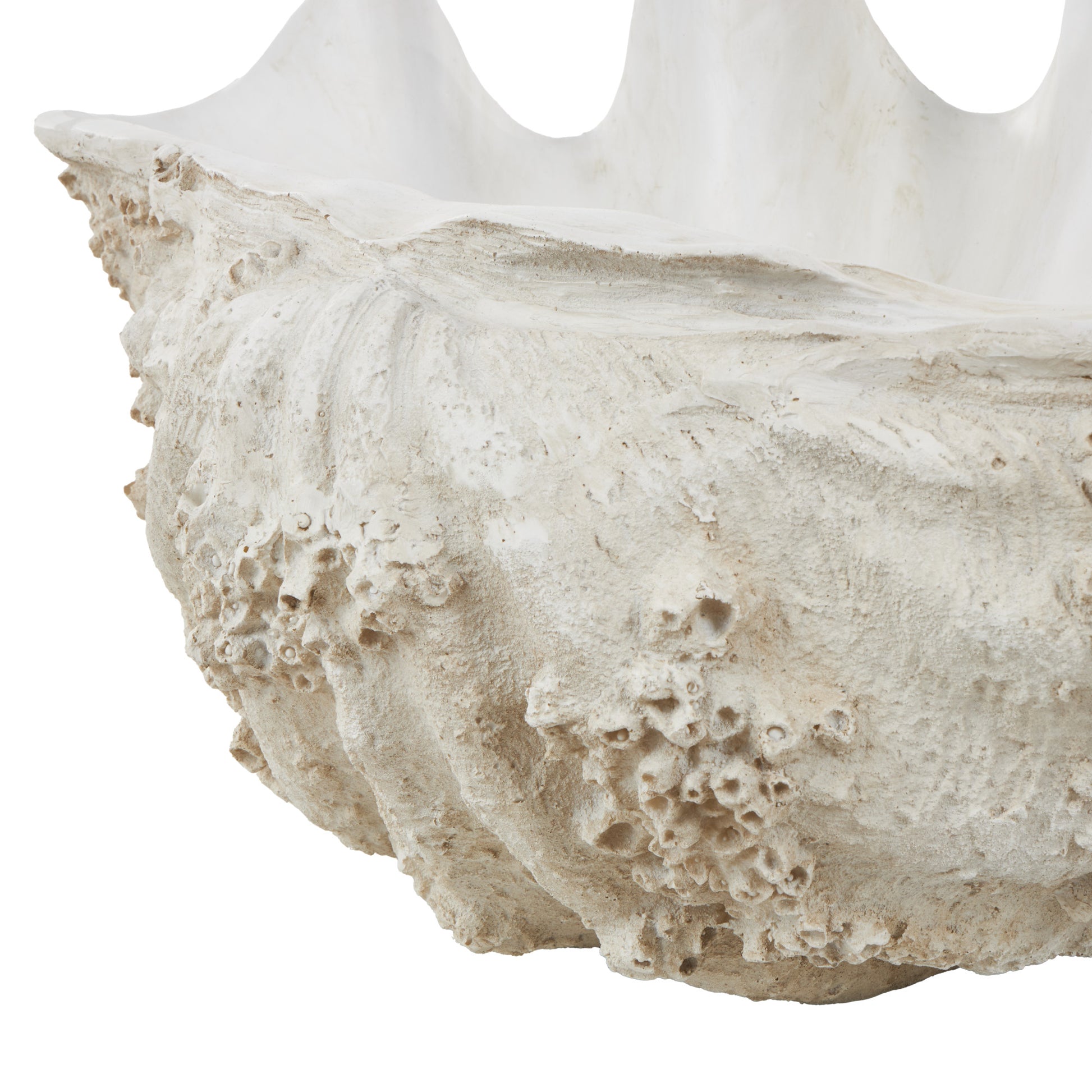 Shell White Polystone Large Textured Decorative Sculpture