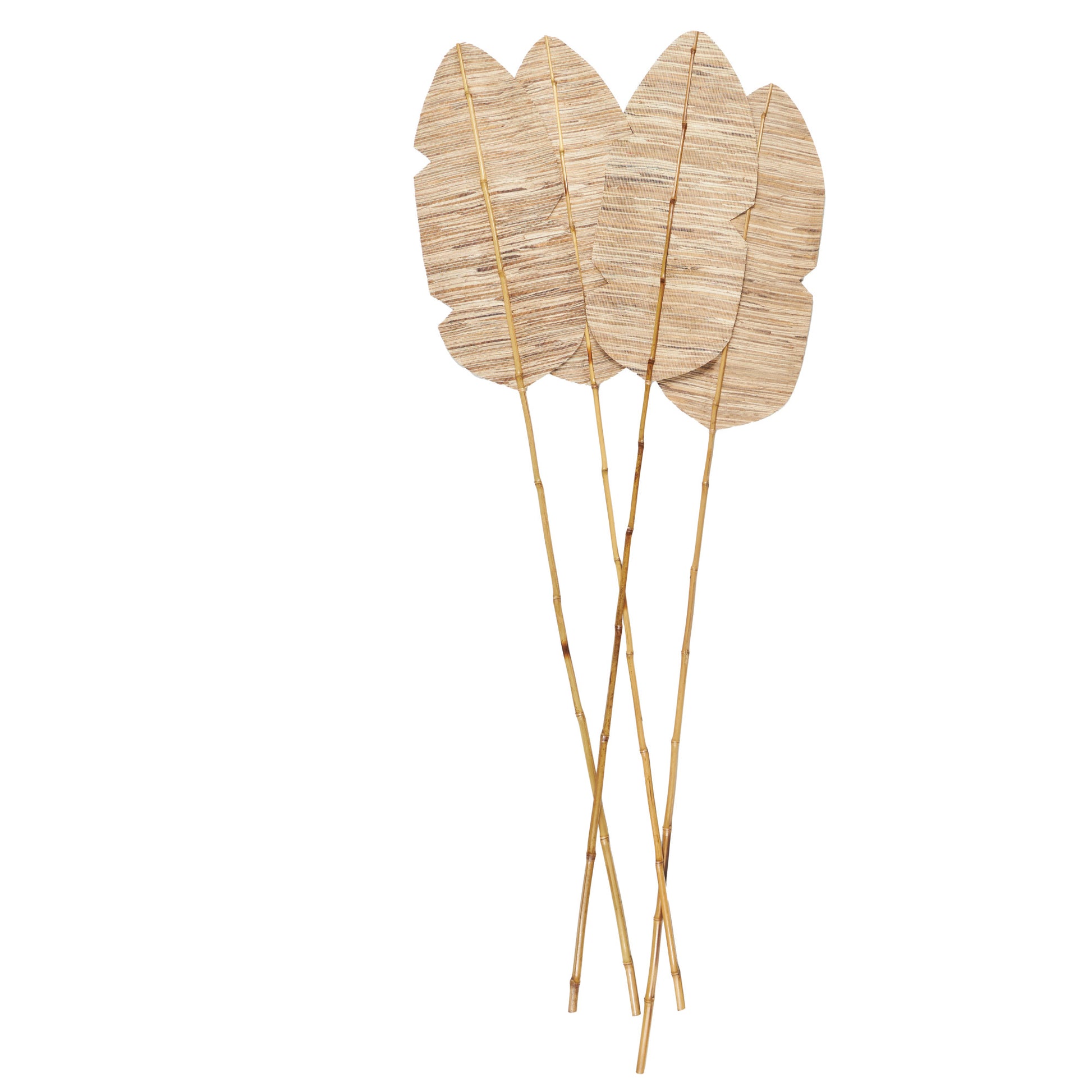 Set of 4 Bamboo Brown Bamboo Wood Tall Woven Leaf Stick Home Decor Natural Foliage