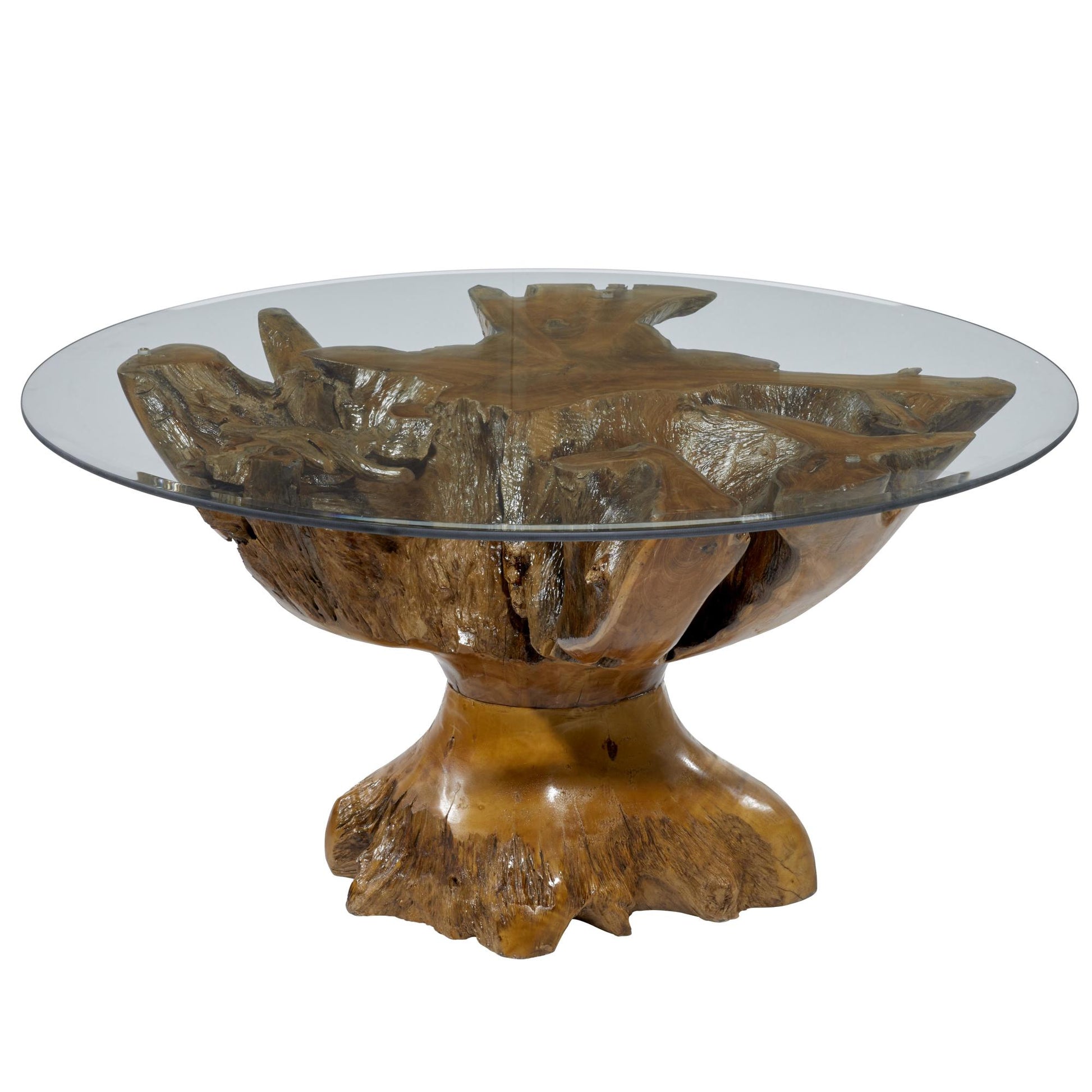 Brown Teak Wood Handmade Live Edge Tree Stump Living Room Coffee Table with Clear Glass Top