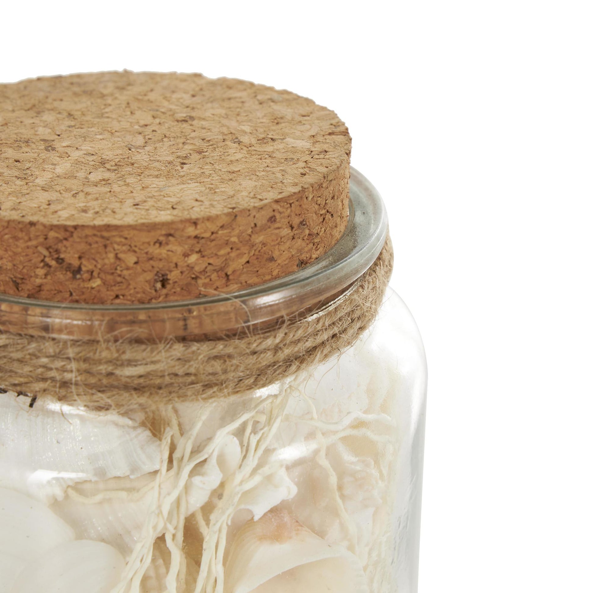 Set of 3 Clear Glass Decorative Orbs & Vase Filler with Seashells and Jute Rope Accents