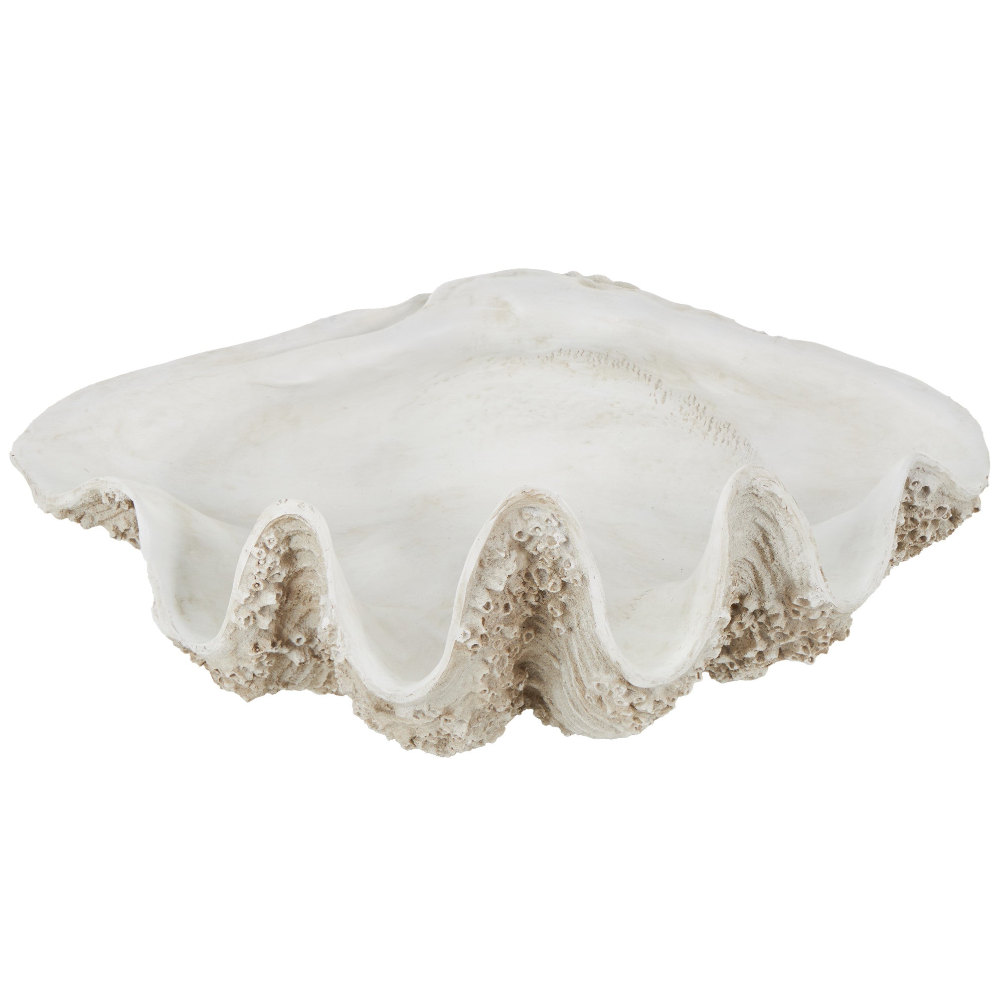 Shell White Polystone Large Textured Decorative Sculpture
