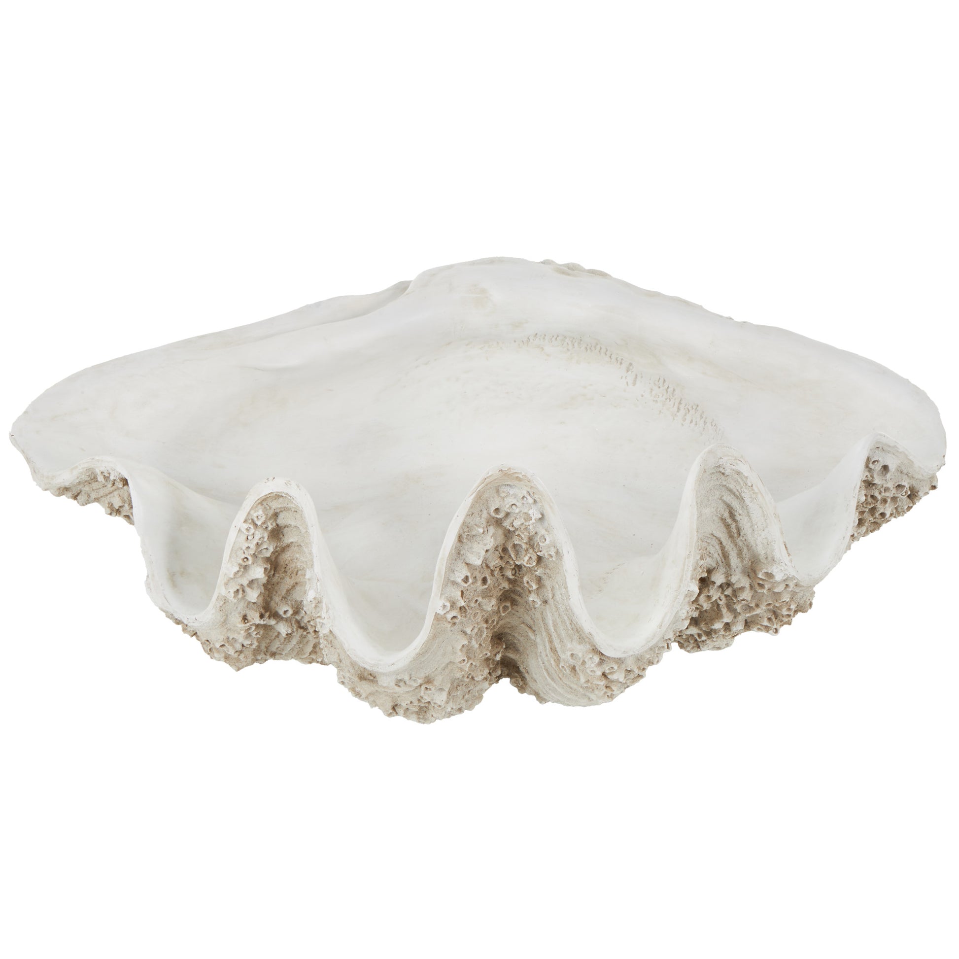 Shell White Polystone Large Textured Decorative Sculpture