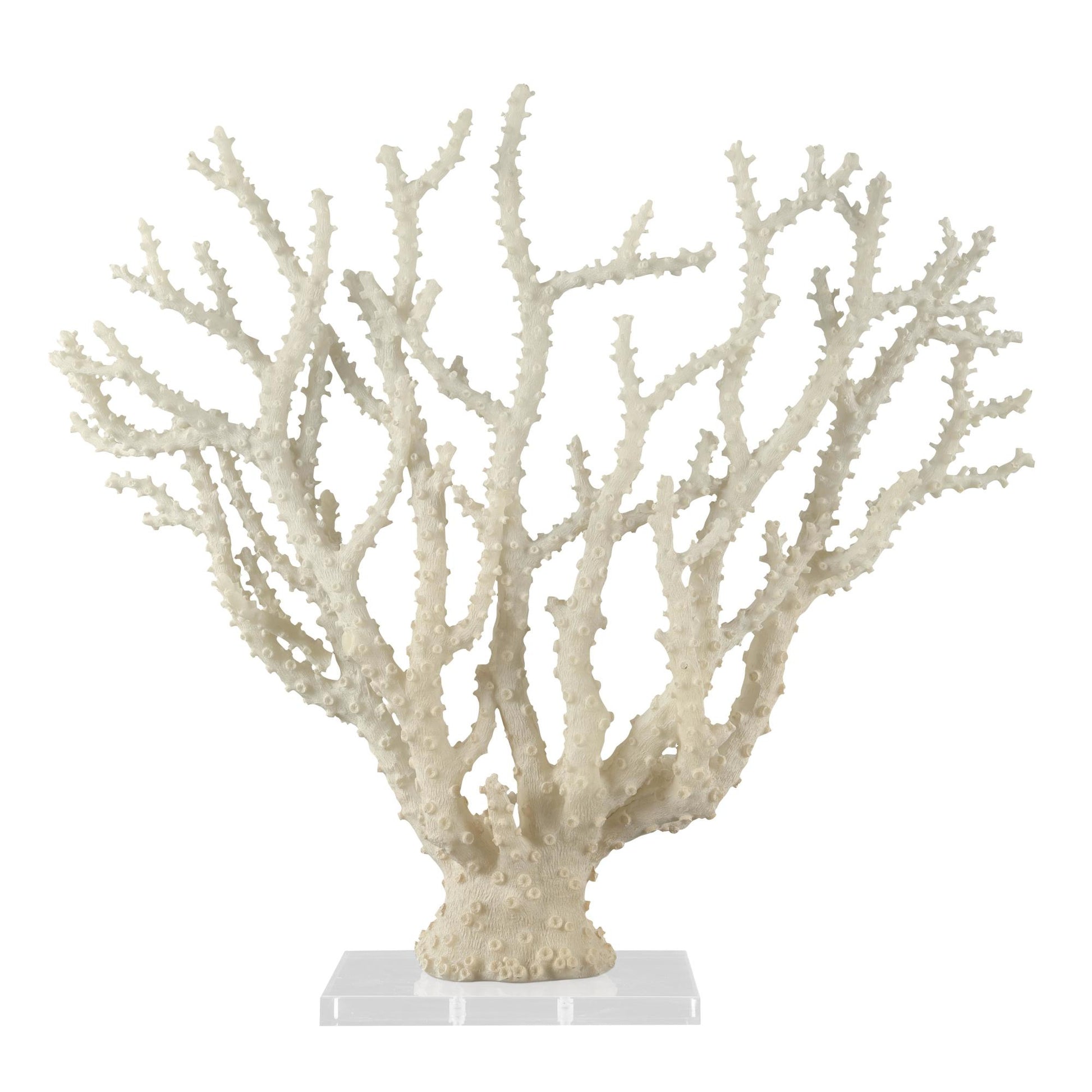 Coral Cream Polystone Decorative Sculpture with Clear Acrylic Base