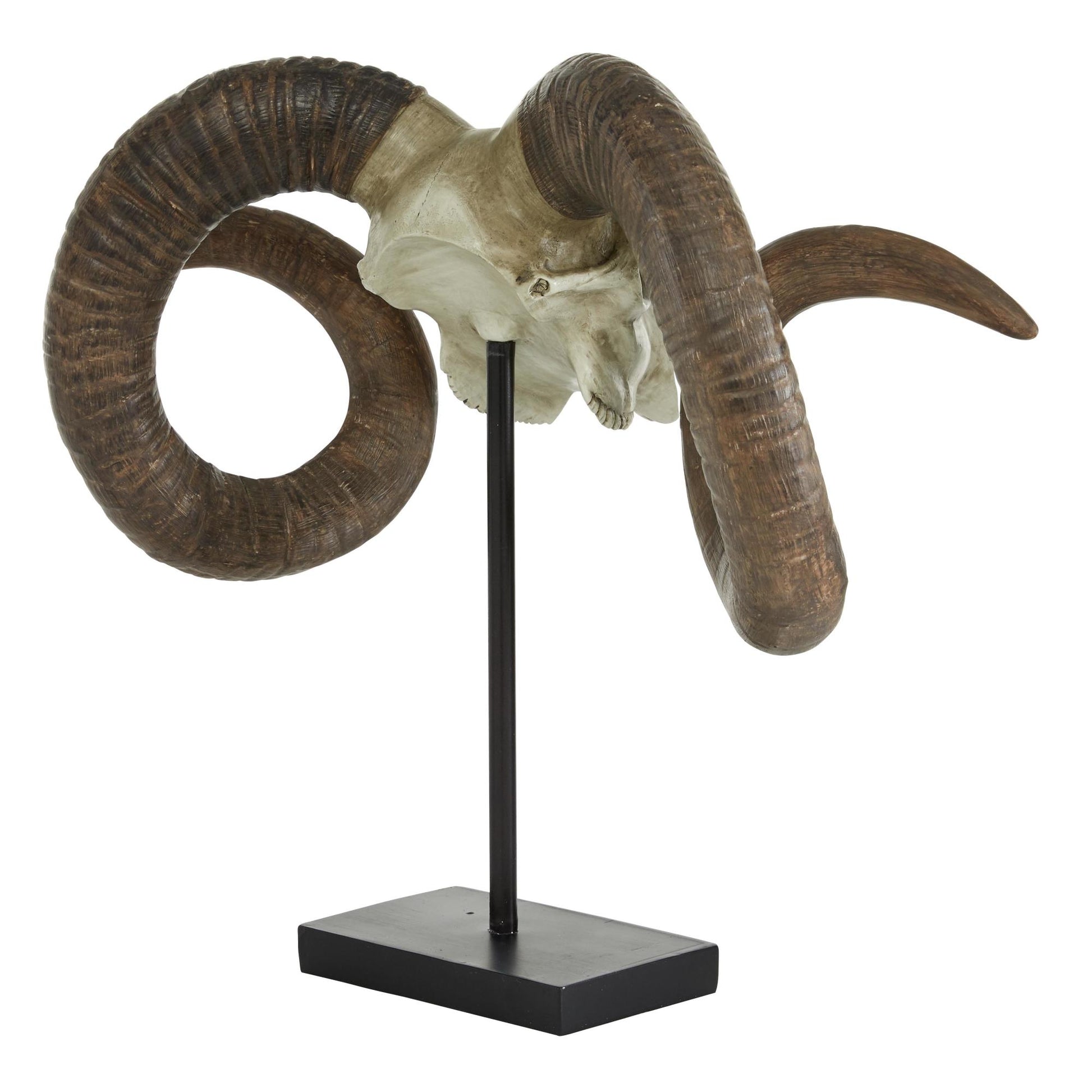 Ram Brown Polystone Skull Decorative Sculpture