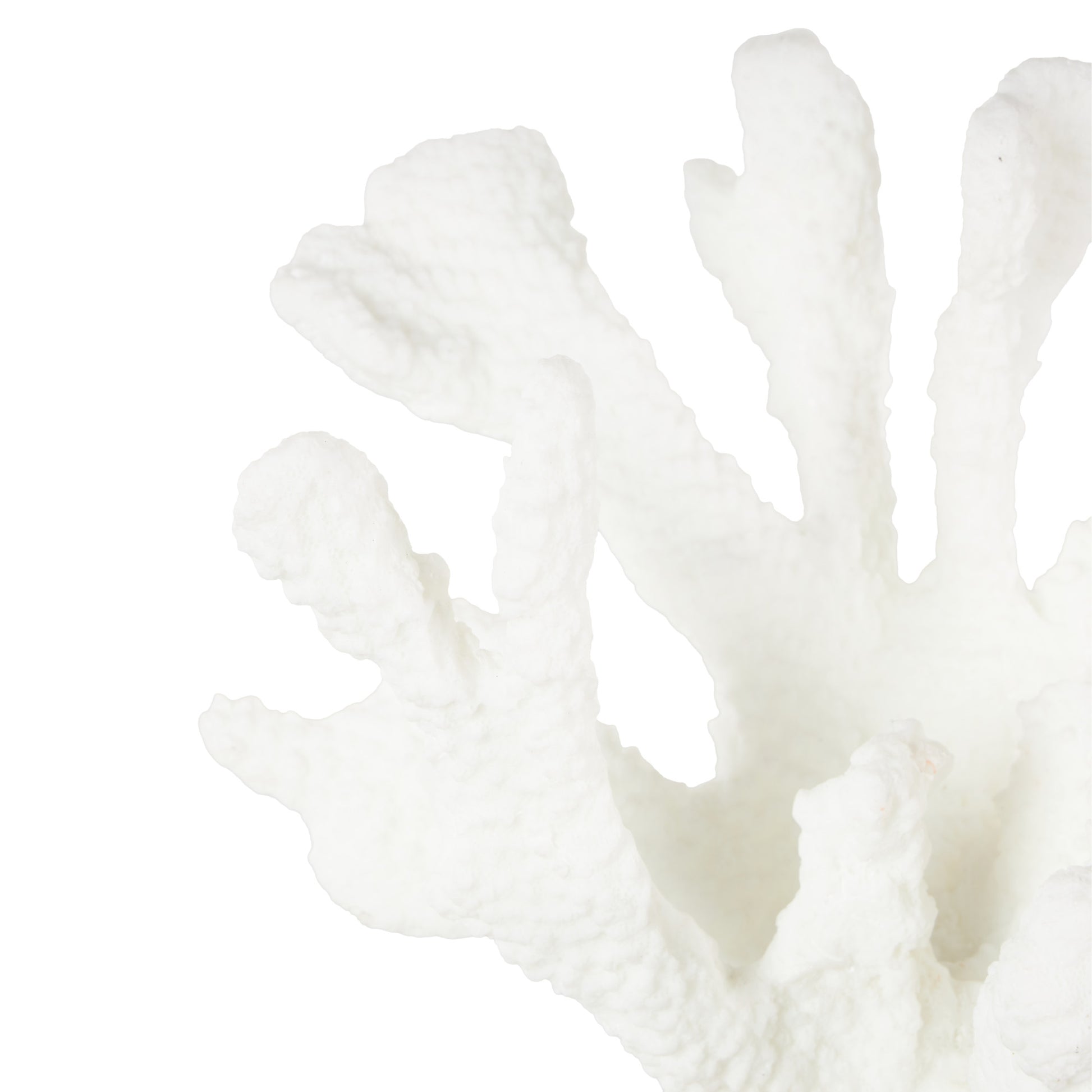 Coral White Resin Textured Decorative Sculpture with Round Copper Base