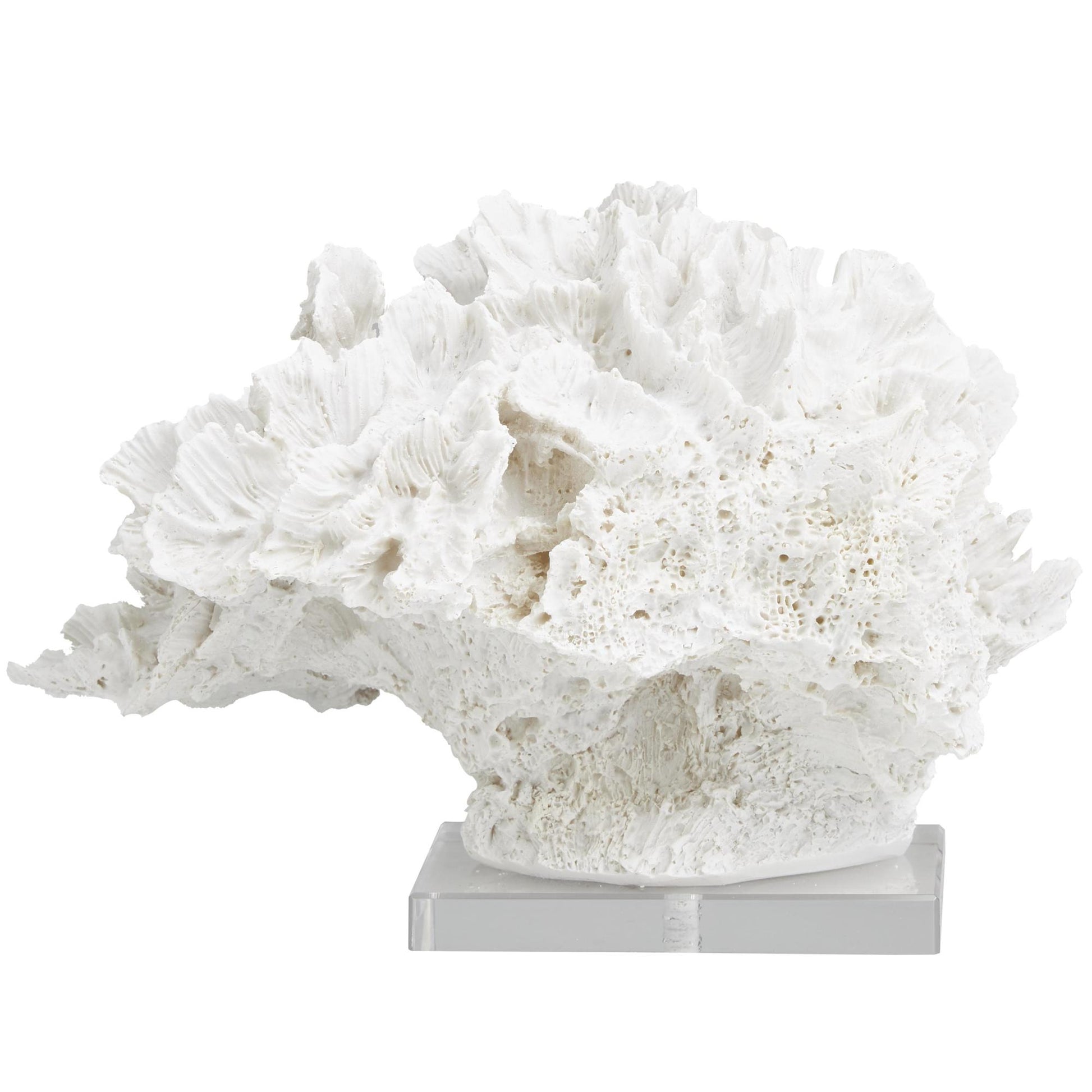 Coral White Polystone Textured Decorative Sculpture with Clear Acrylic Base