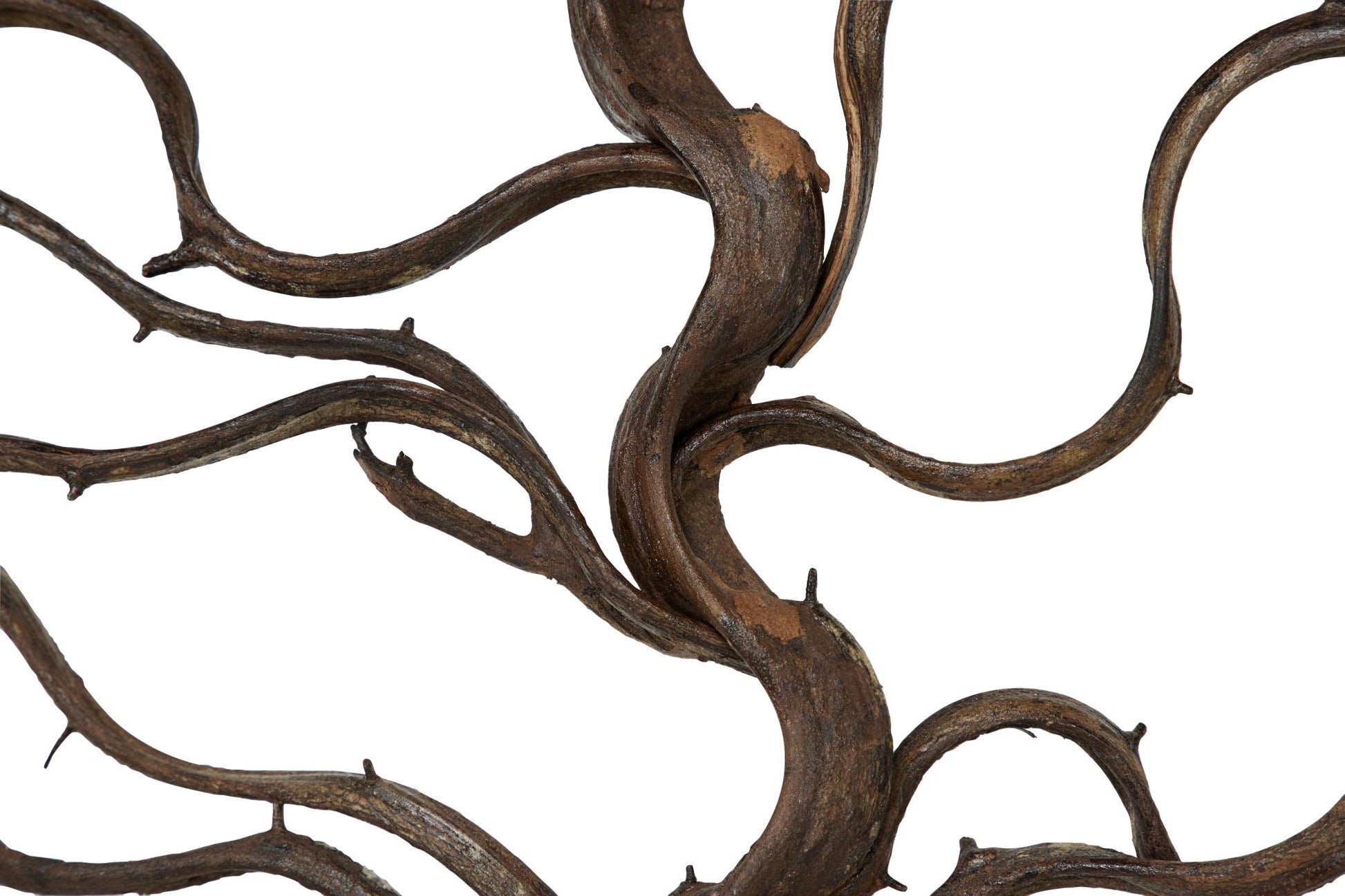 Tree Teak Wood Branch Home Wall Decor with Black Frame