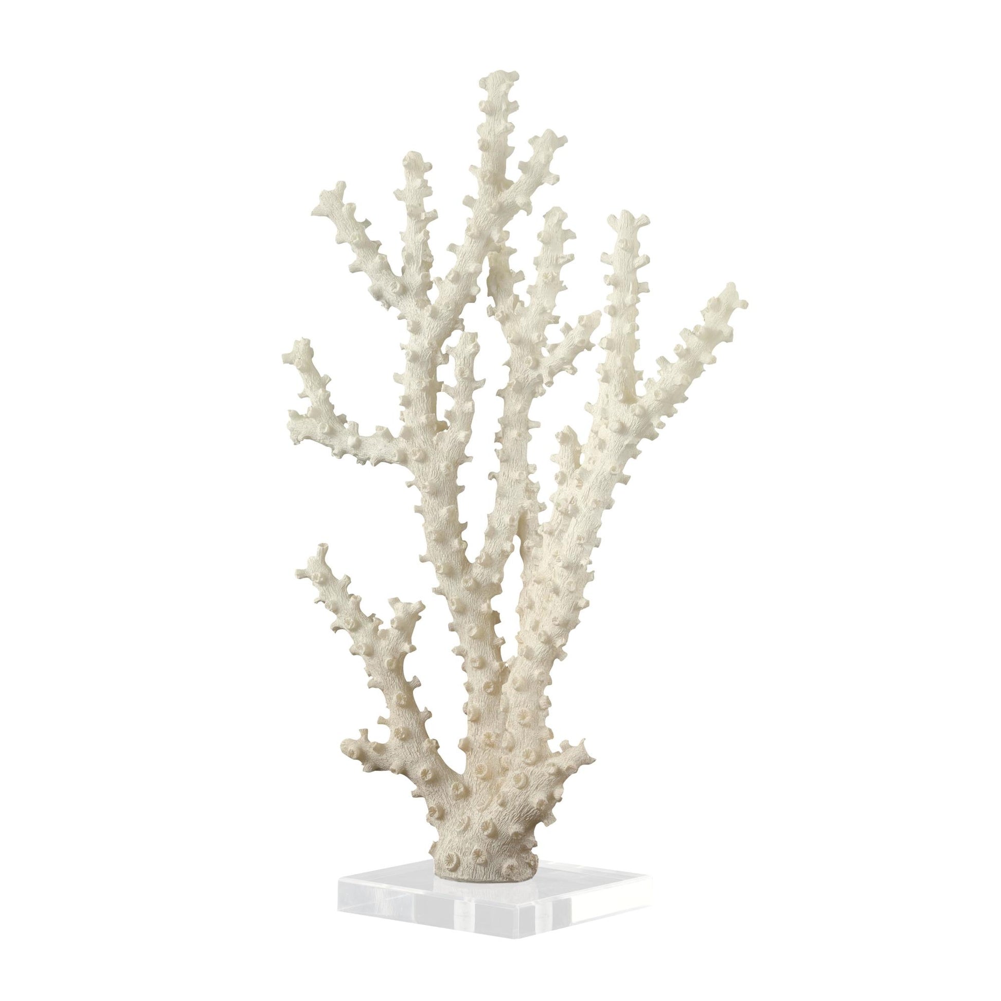 Coral Cream Polystone Decorative Sculpture with Clear Acrylic Base