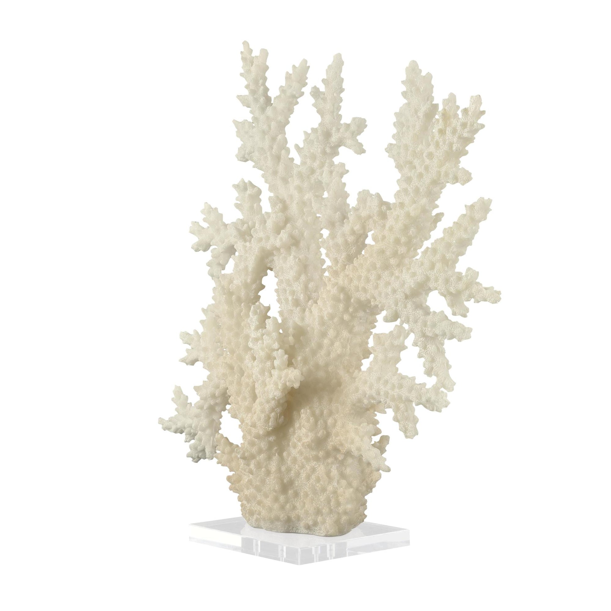 Coral Cream Polystone Decorative Sculpture with Clear Acrylic Base