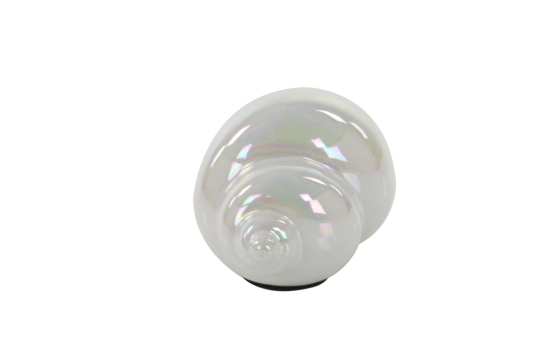 Set of 3 Shell White Porcelain Ceramic Shell Decorative Sculpture