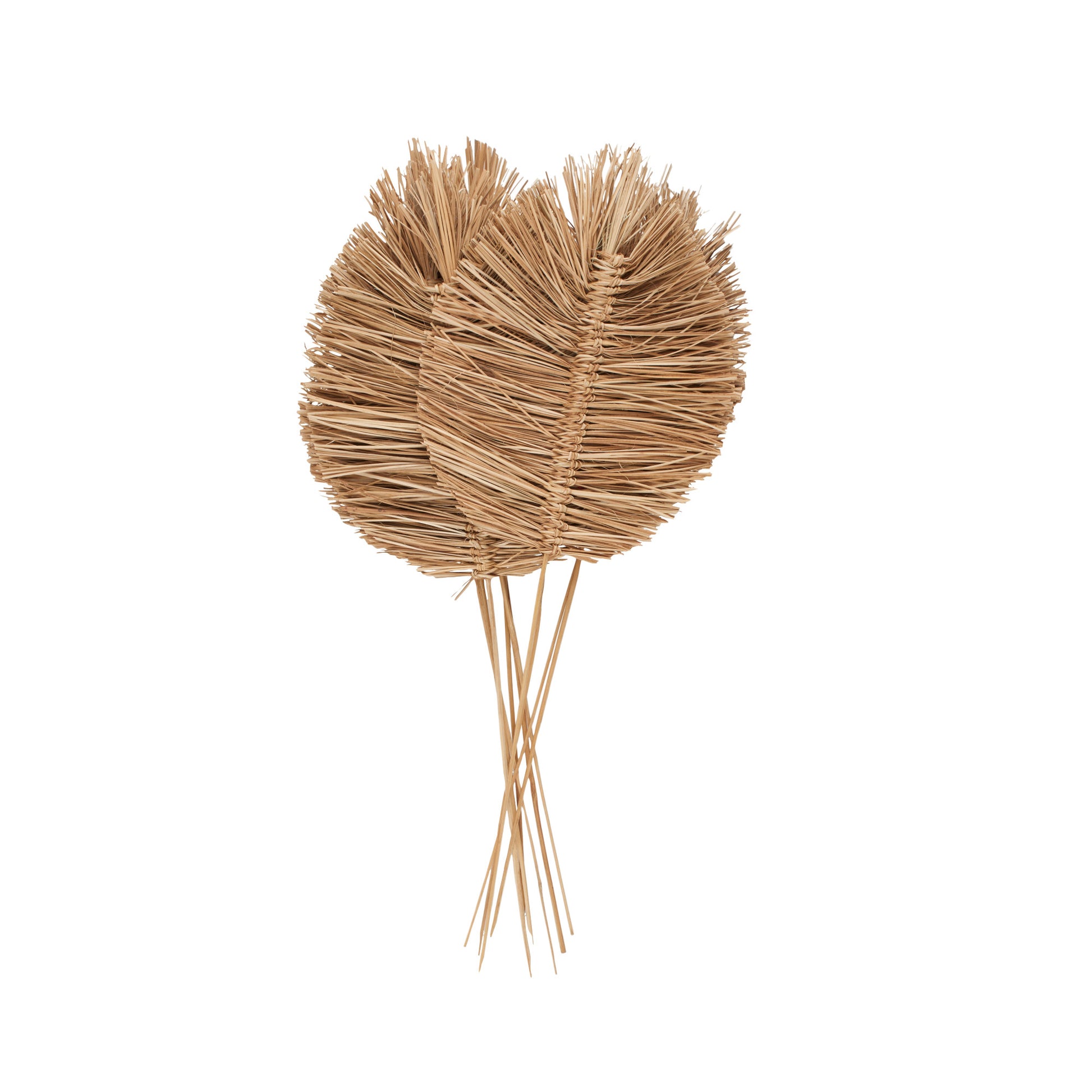 Leaf Dried Plant Tall Spear Home Decor Natural Foliage with Sharp Stems