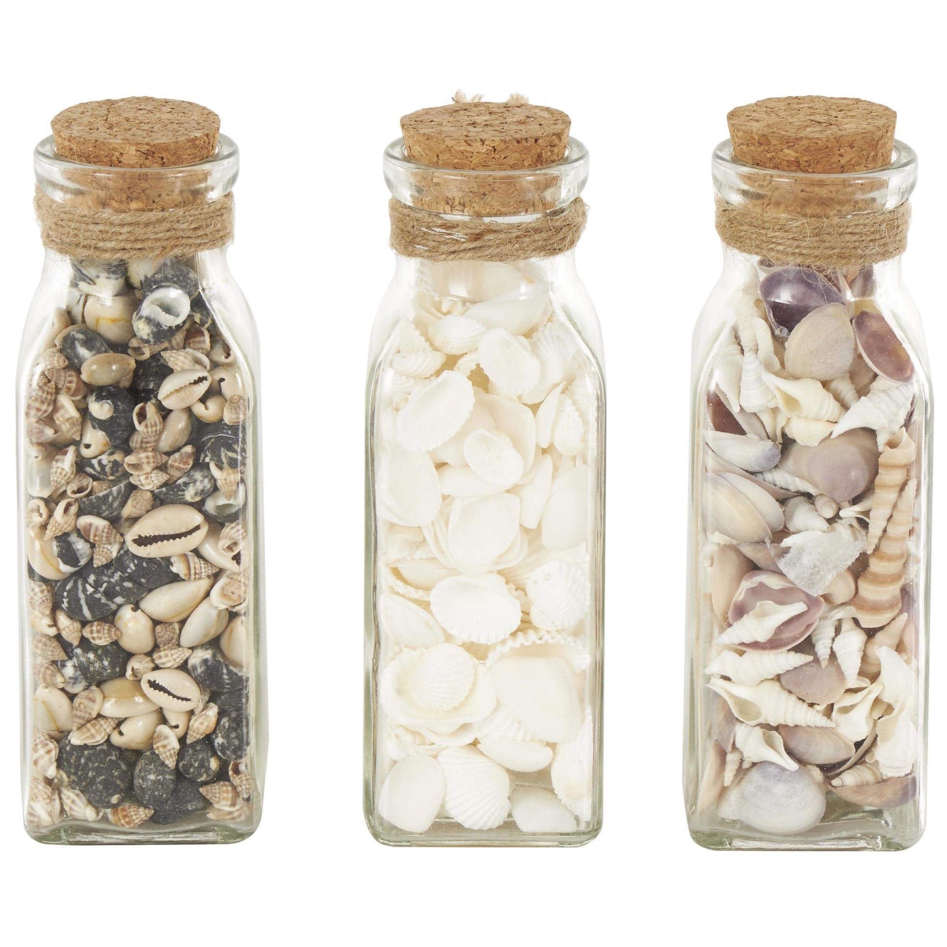 Set of 3 Clear Glass Decorative Orbs & Vase Filler with Seashells and Jute Rope Accents