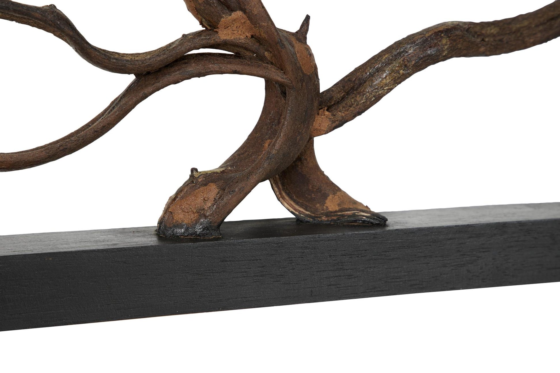 Tree Teak Wood Branch Home Wall Decor with Black Frame