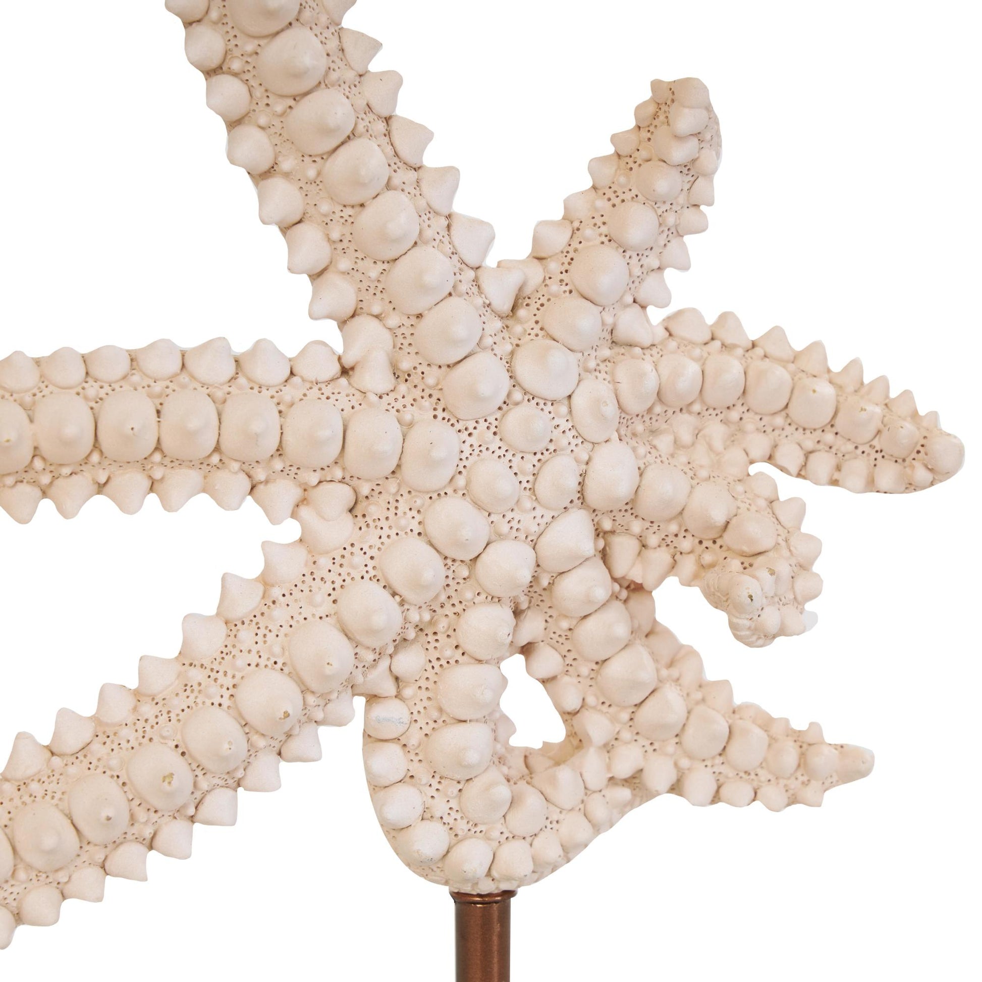Starfish Pink Polystone Textured Decorative Sculpture with Copper Stand