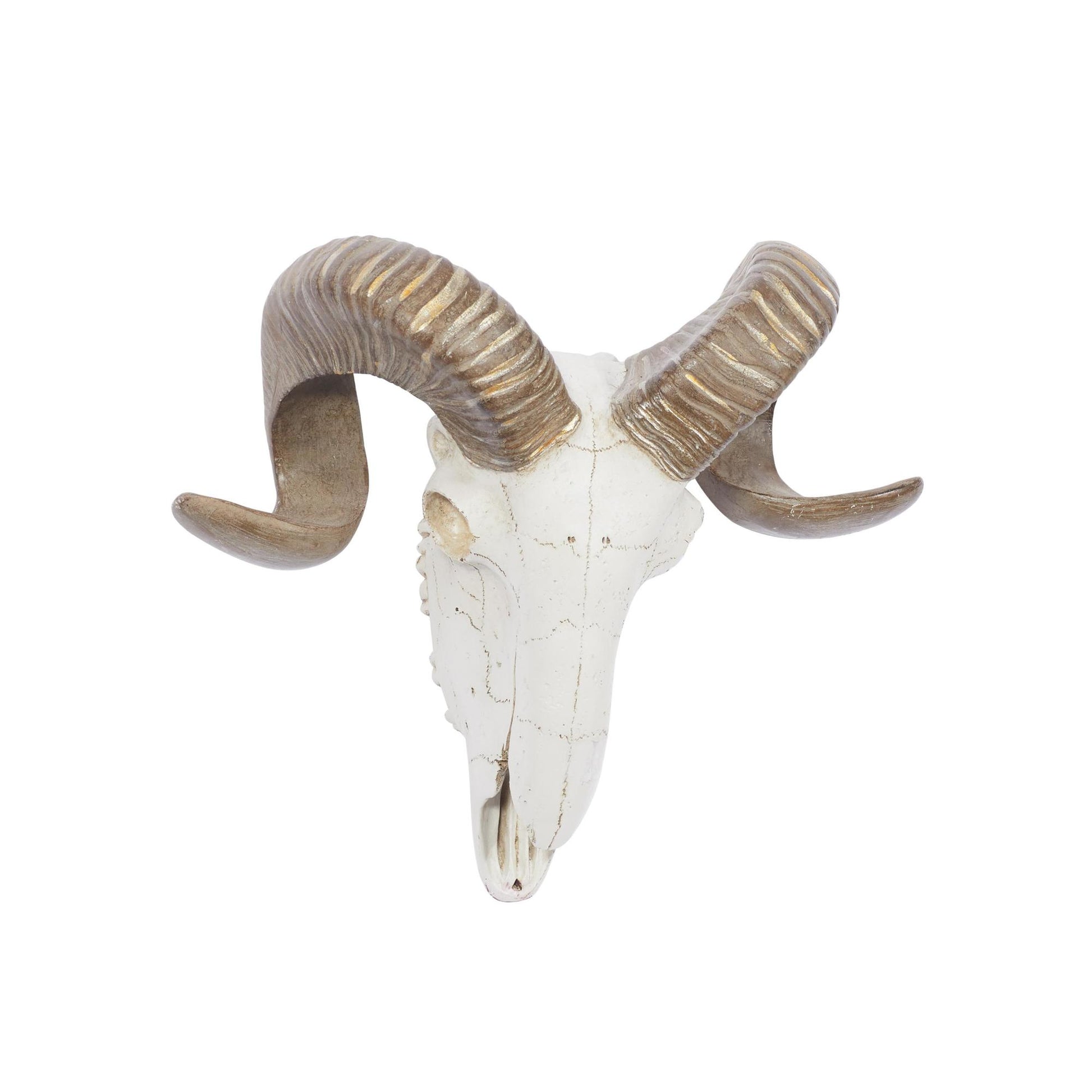 Sheep White Polystone Skull Home Wall Decor