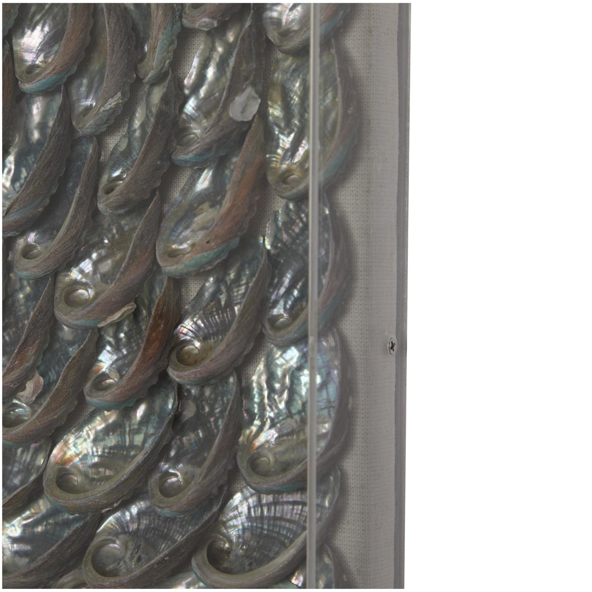 Shell Brown Acrylic Plastic Handmade 3D Layered Home Shadow Box with Iridescent Finish