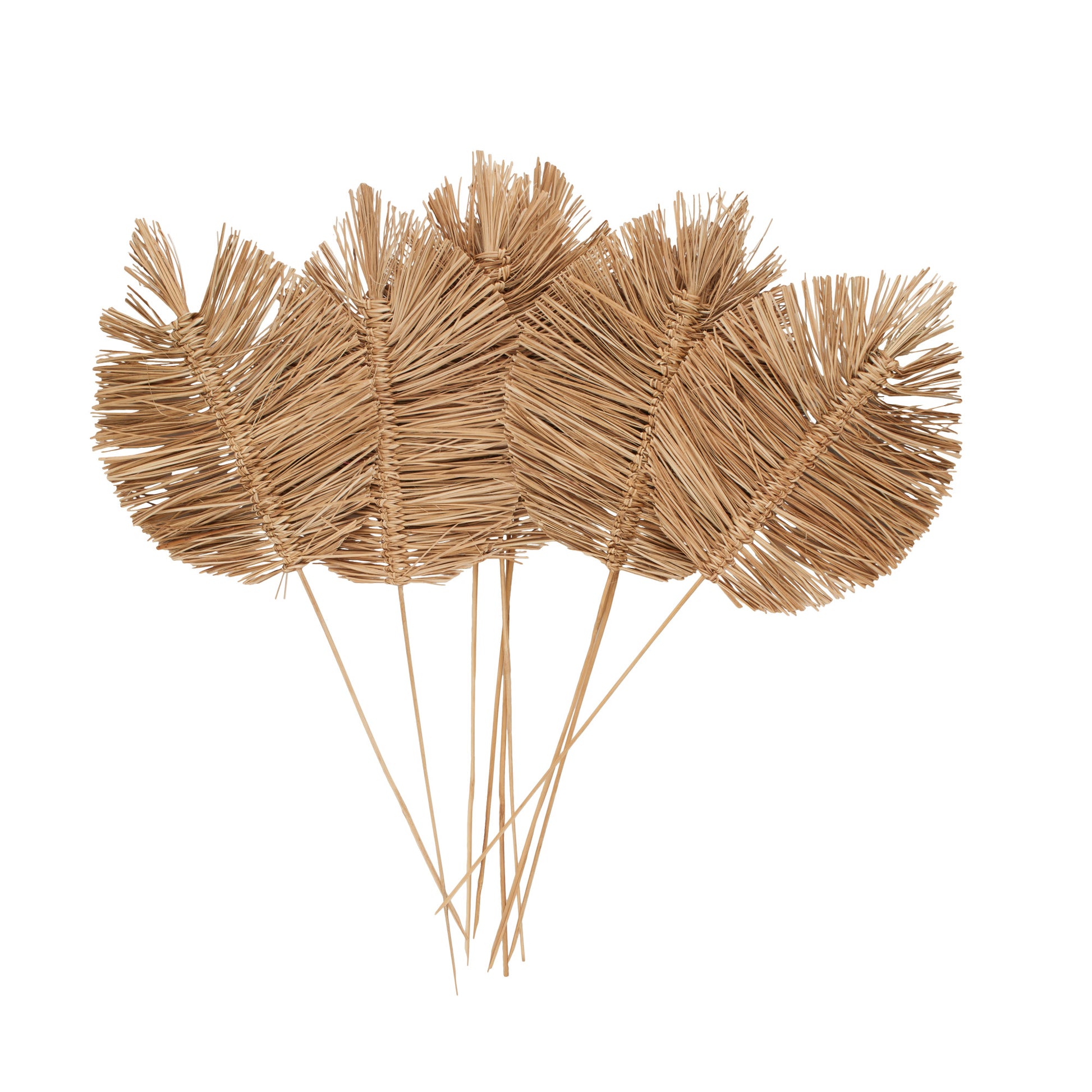 Leaf Dried Plant Tall Spear Home Decor Natural Foliage with Sharp Stems