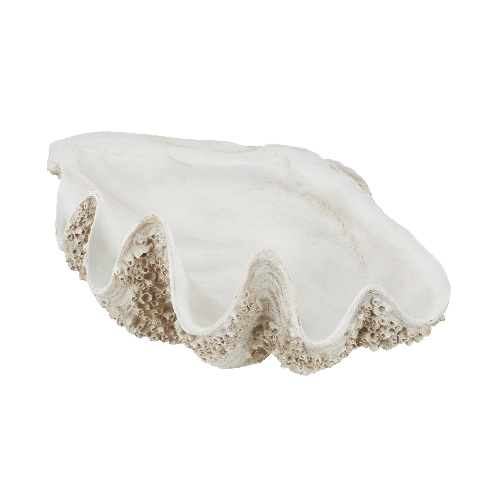 Shell White Polystone Large Textured Decorative Sculpture