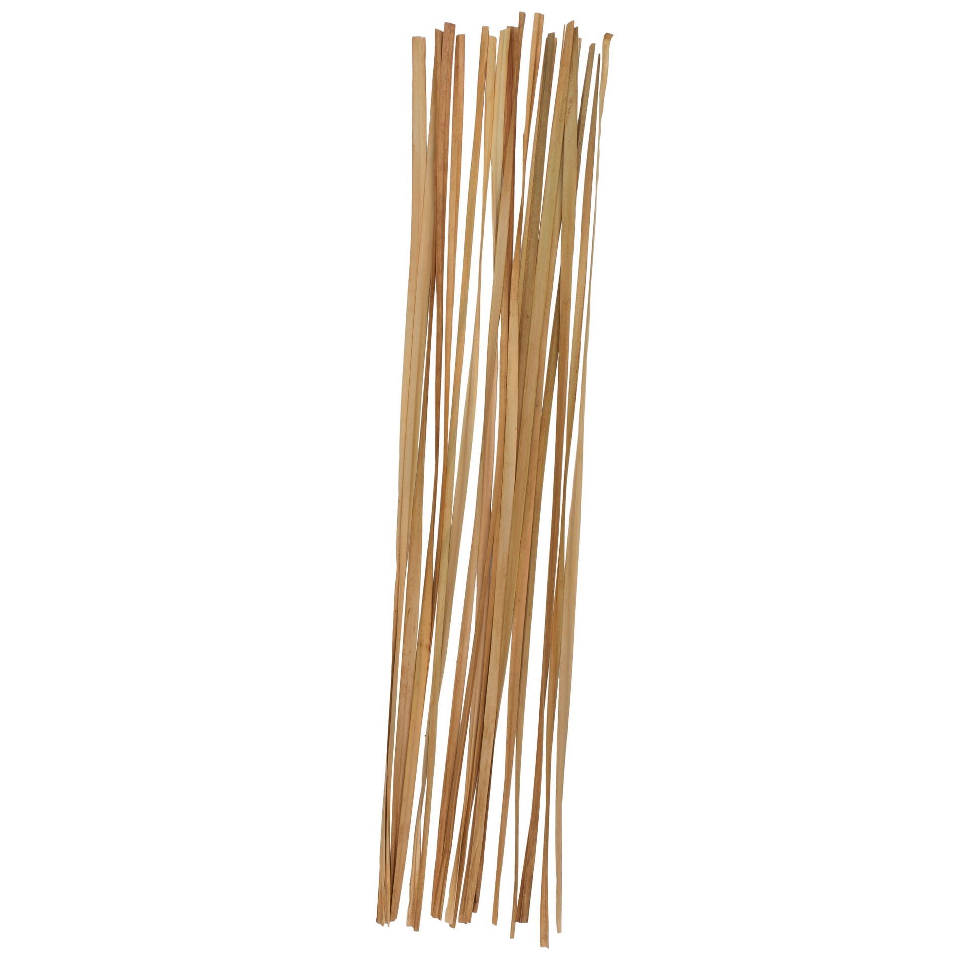 Set of 20 Dried Plant Tall Sticks Home Decor Natural Foliage Set of 20