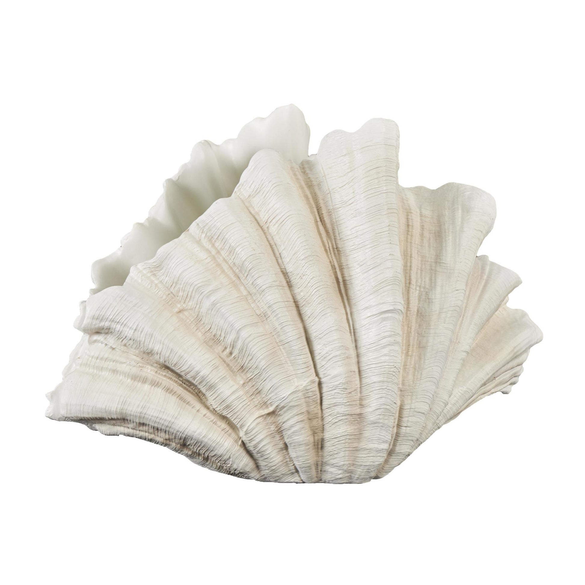 Shell Cream Resin Textured Decorative Sculpture