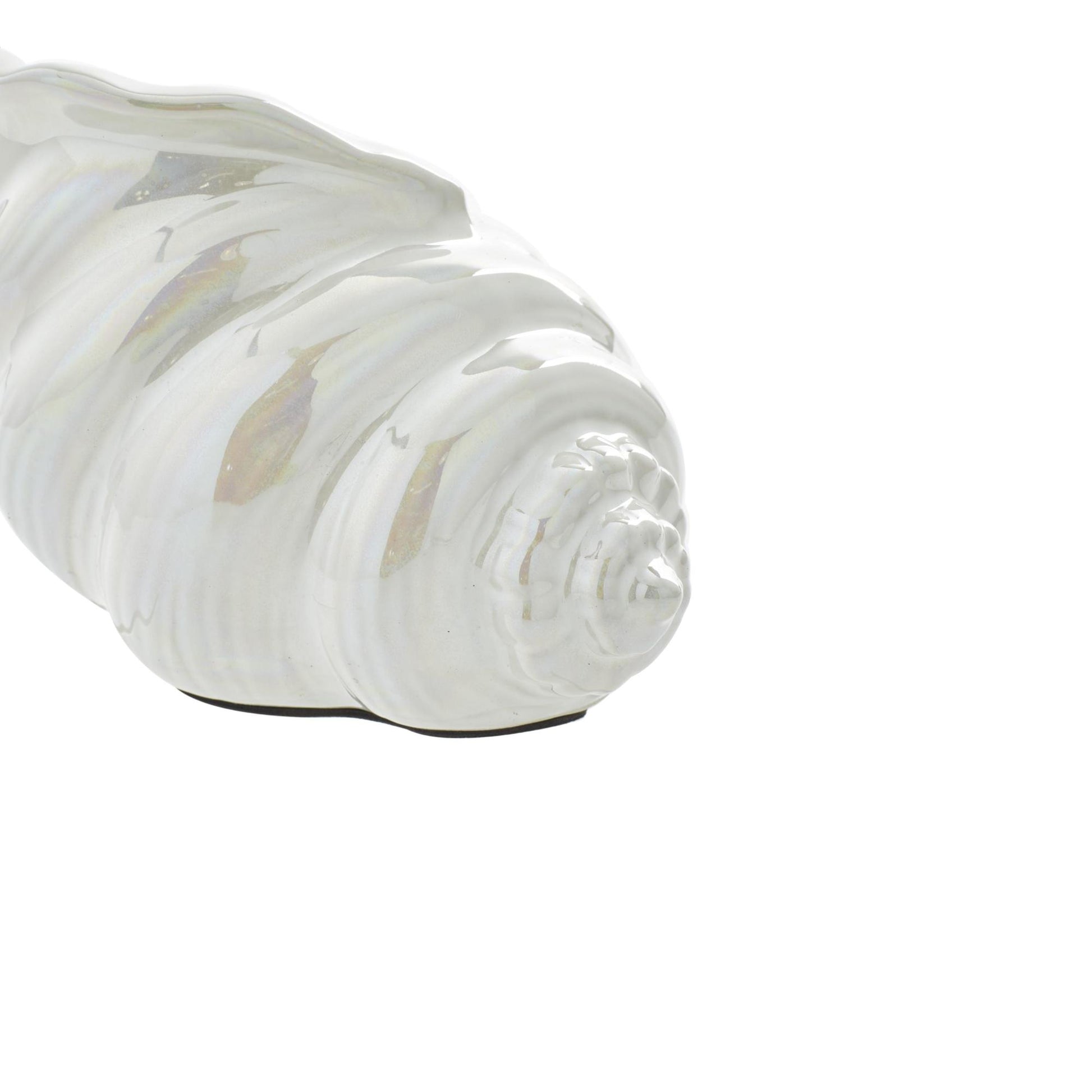 Set of 3 Shell White Porcelain Ceramic Shell Decorative Sculpture