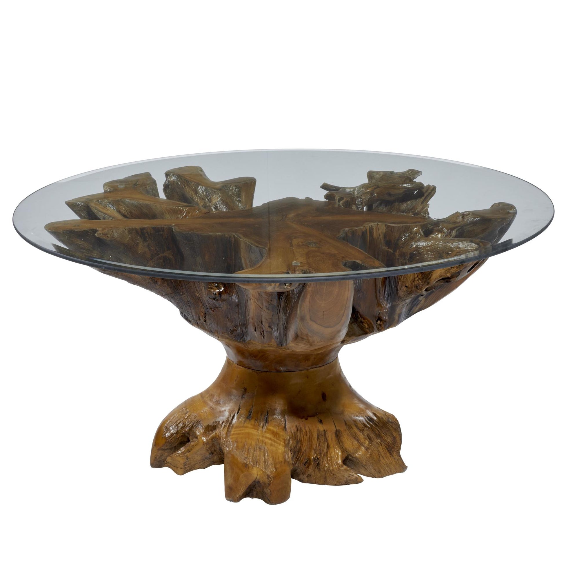 Brown Teak Wood Handmade Live Edge Tree Stump Living Room Coffee Table with Clear Glass Top