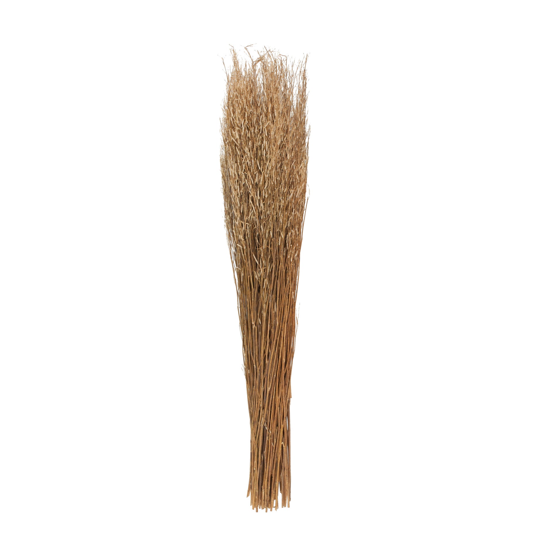 Dried Plant Tall Sticks Home Decor Natural Foliage with Grass 10" x 10" x 45"