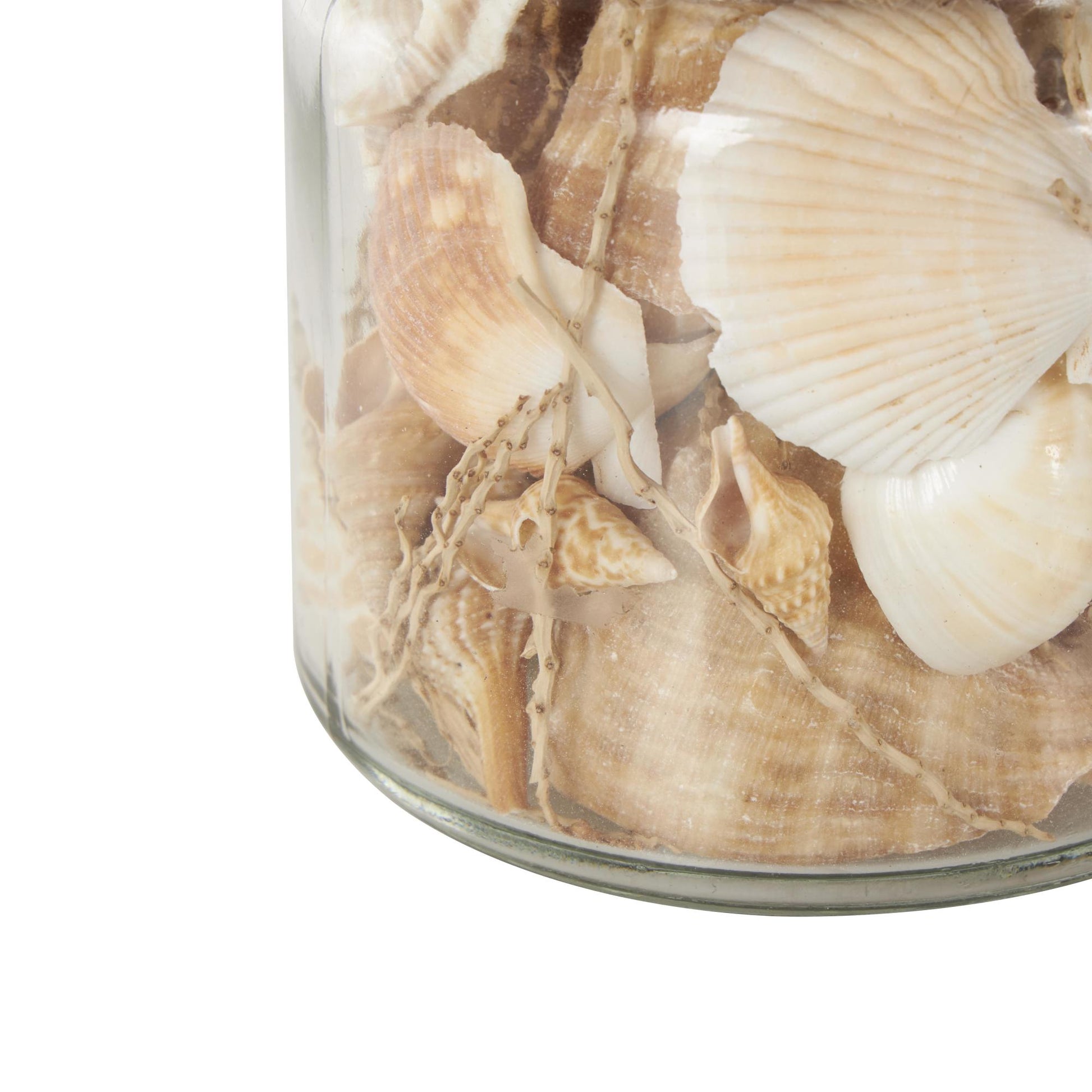 Set of 3 Clear Glass Decorative Orbs & Vase Filler with Seashells and Jute Rope Accents