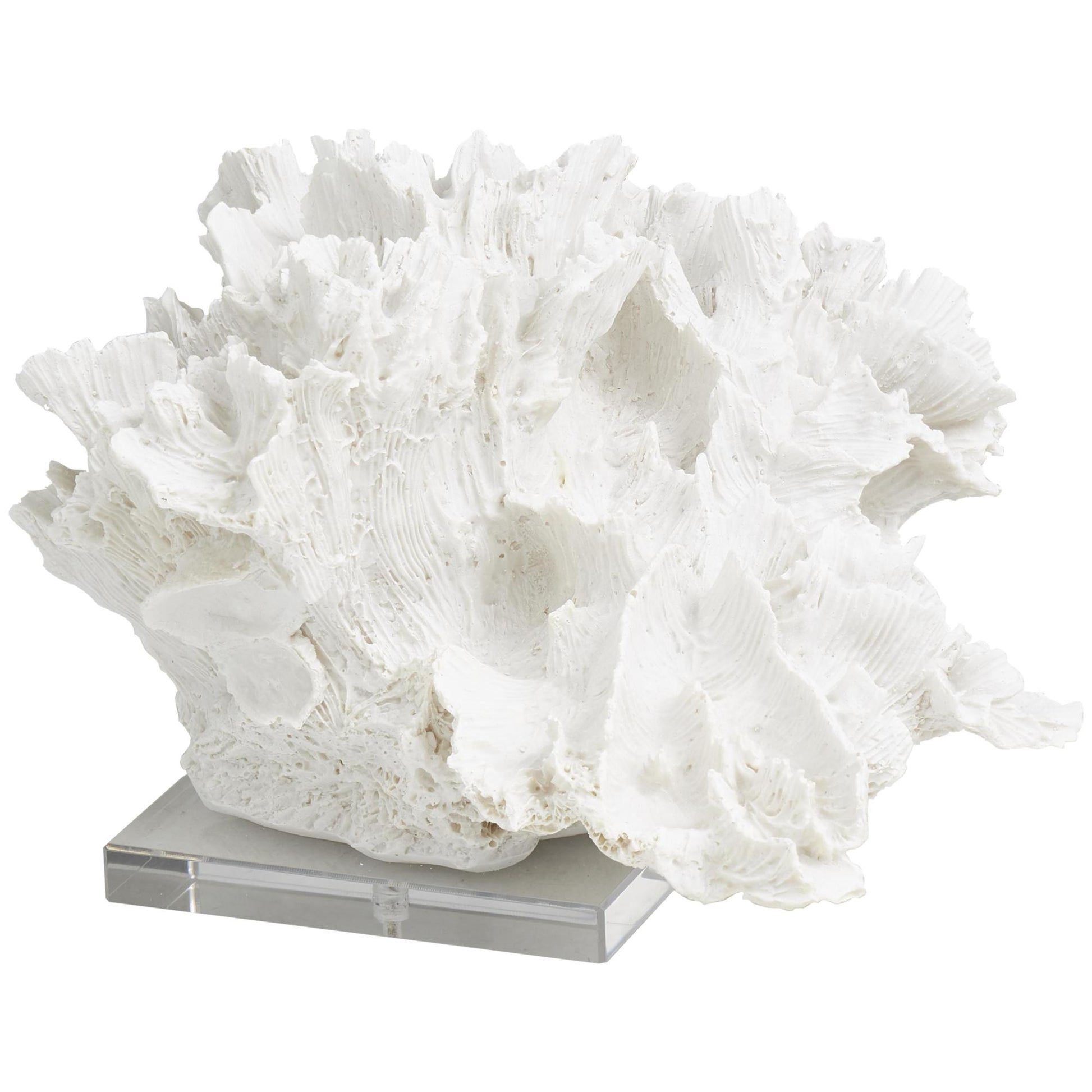 Coral White Polystone Textured Decorative Sculpture with Clear Acrylic Base