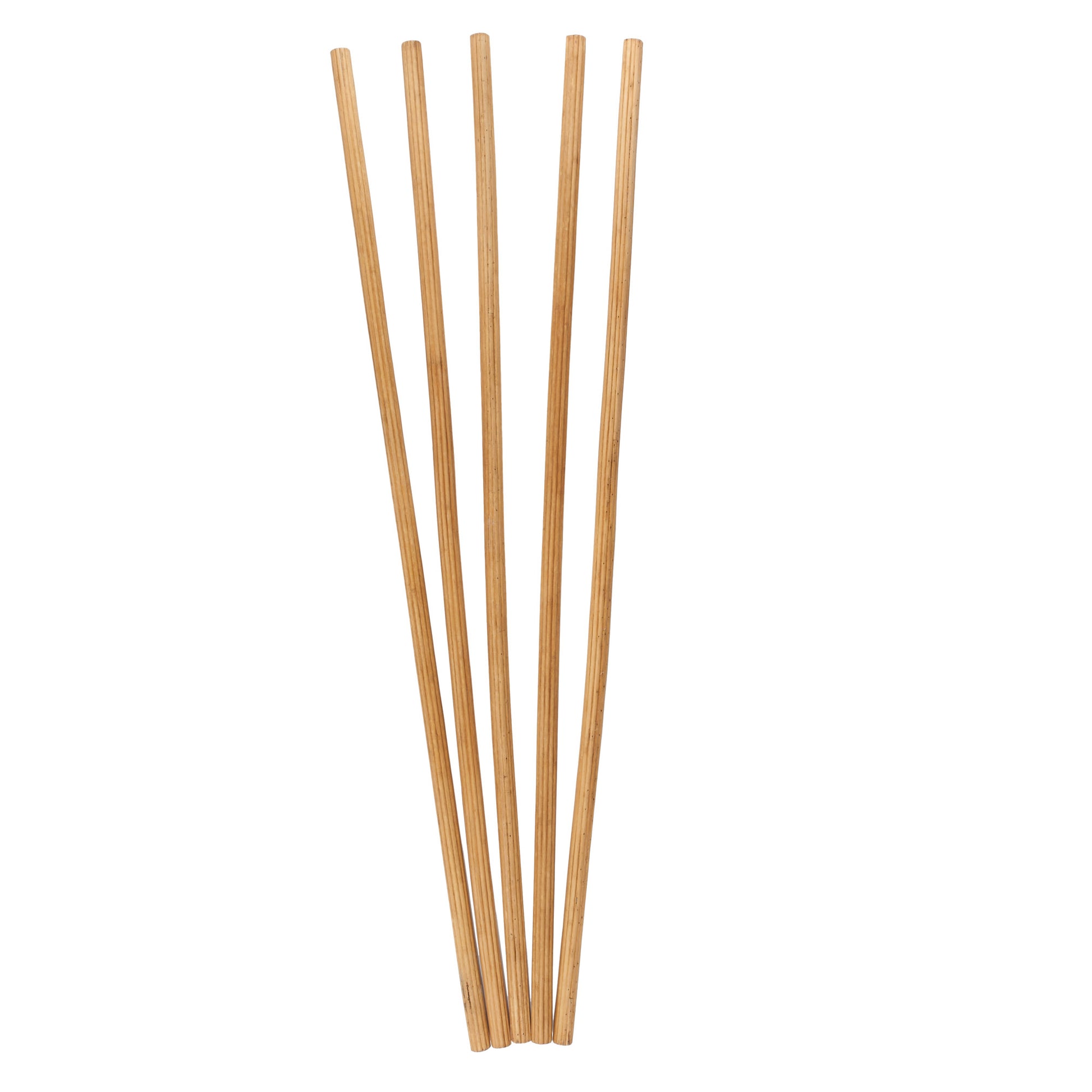 Set of 5 Brown Bamboo Wood Tall Sticks Home Decor Natural Foliage