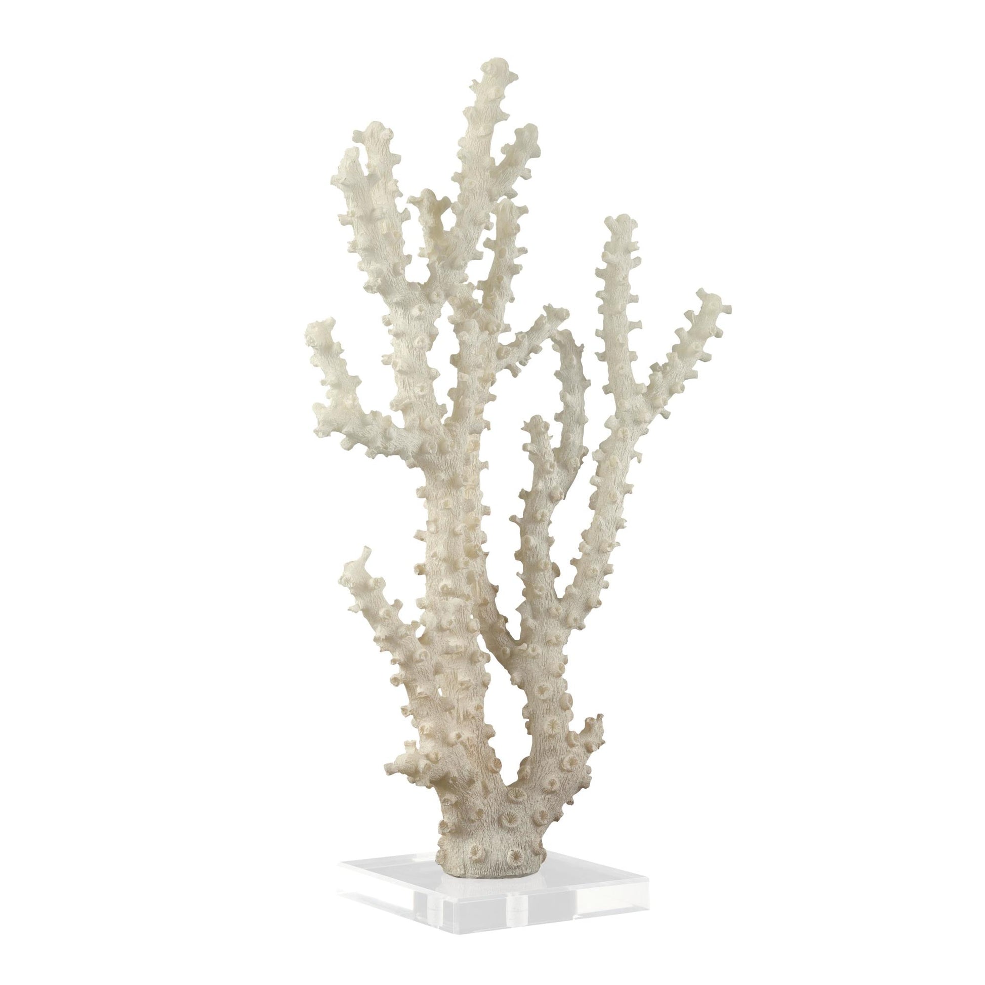 Coral Cream Polystone Decorative Sculpture with Clear Acrylic Base